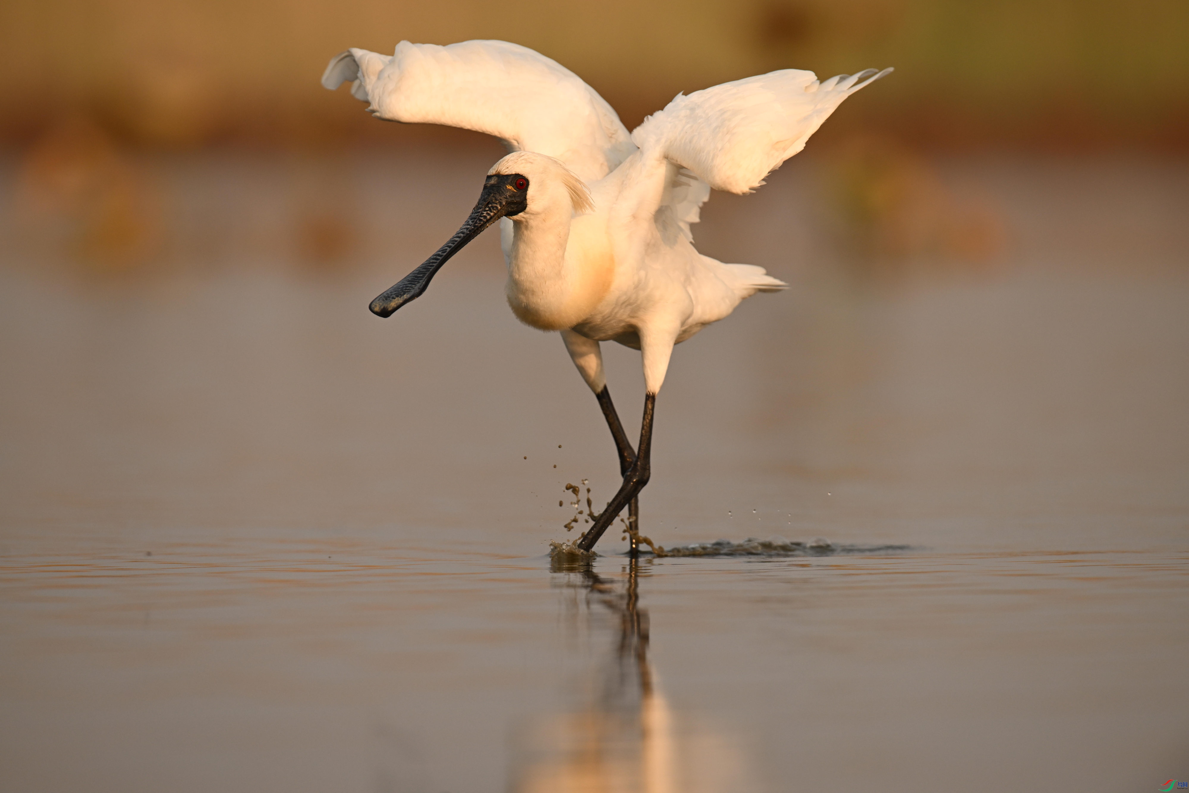 �������� (5).jpg