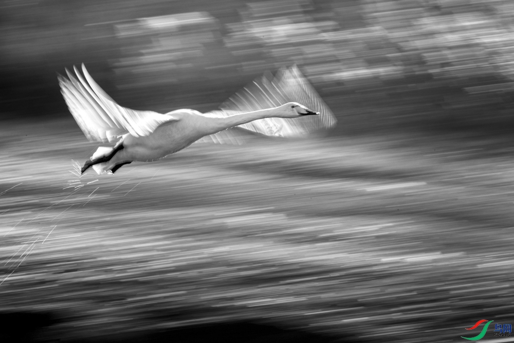 _X7A9392 ����-2 ����.jpg