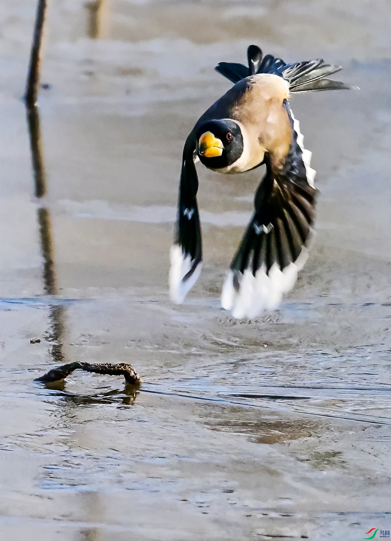DSC_1057��.jpg