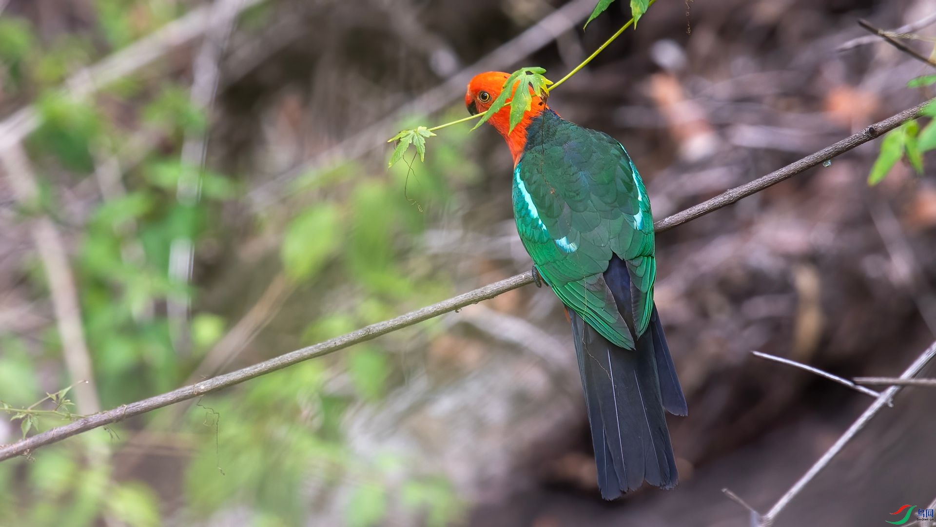 _DSC6876 ����.jpg