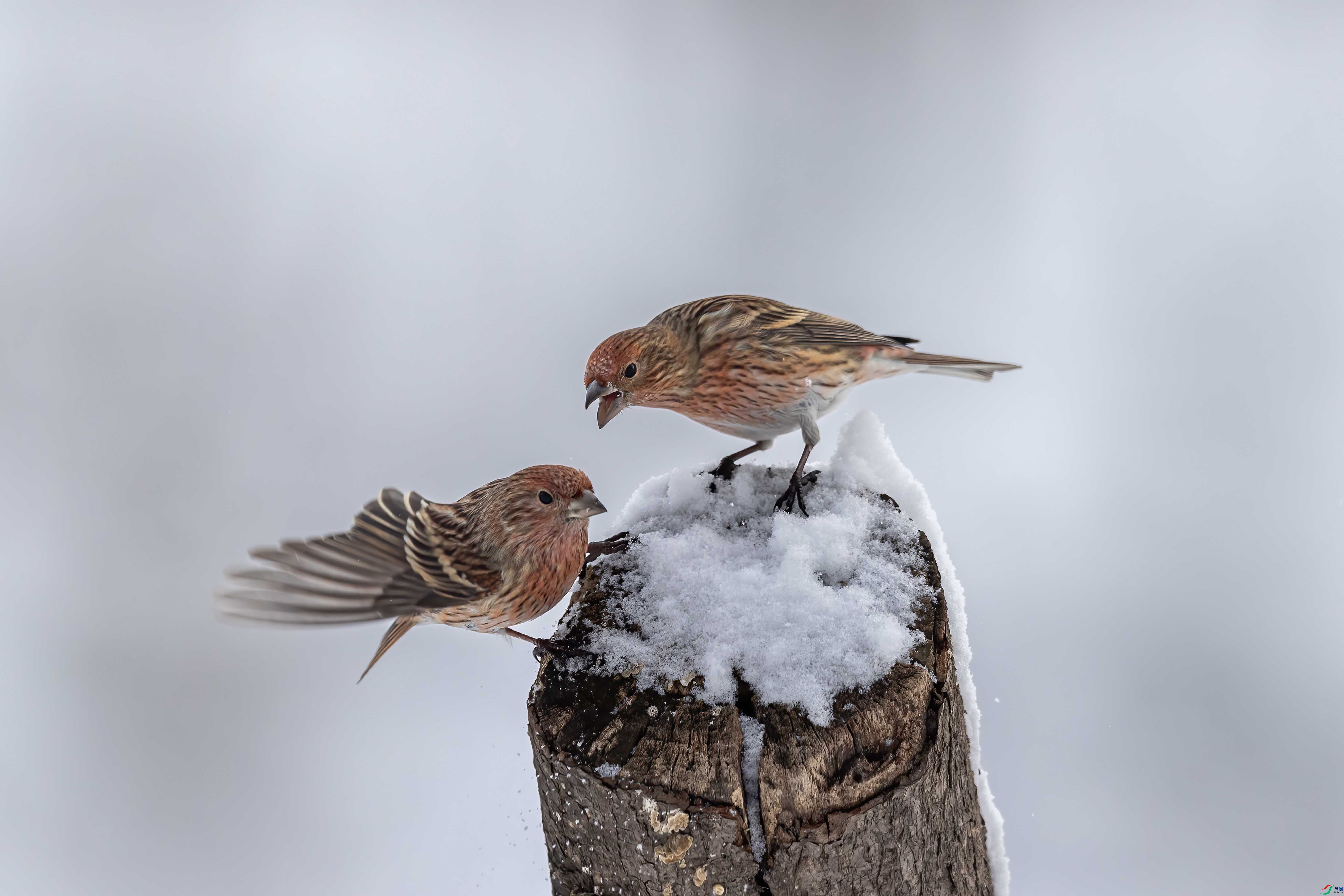 ��ʵ����ɱ