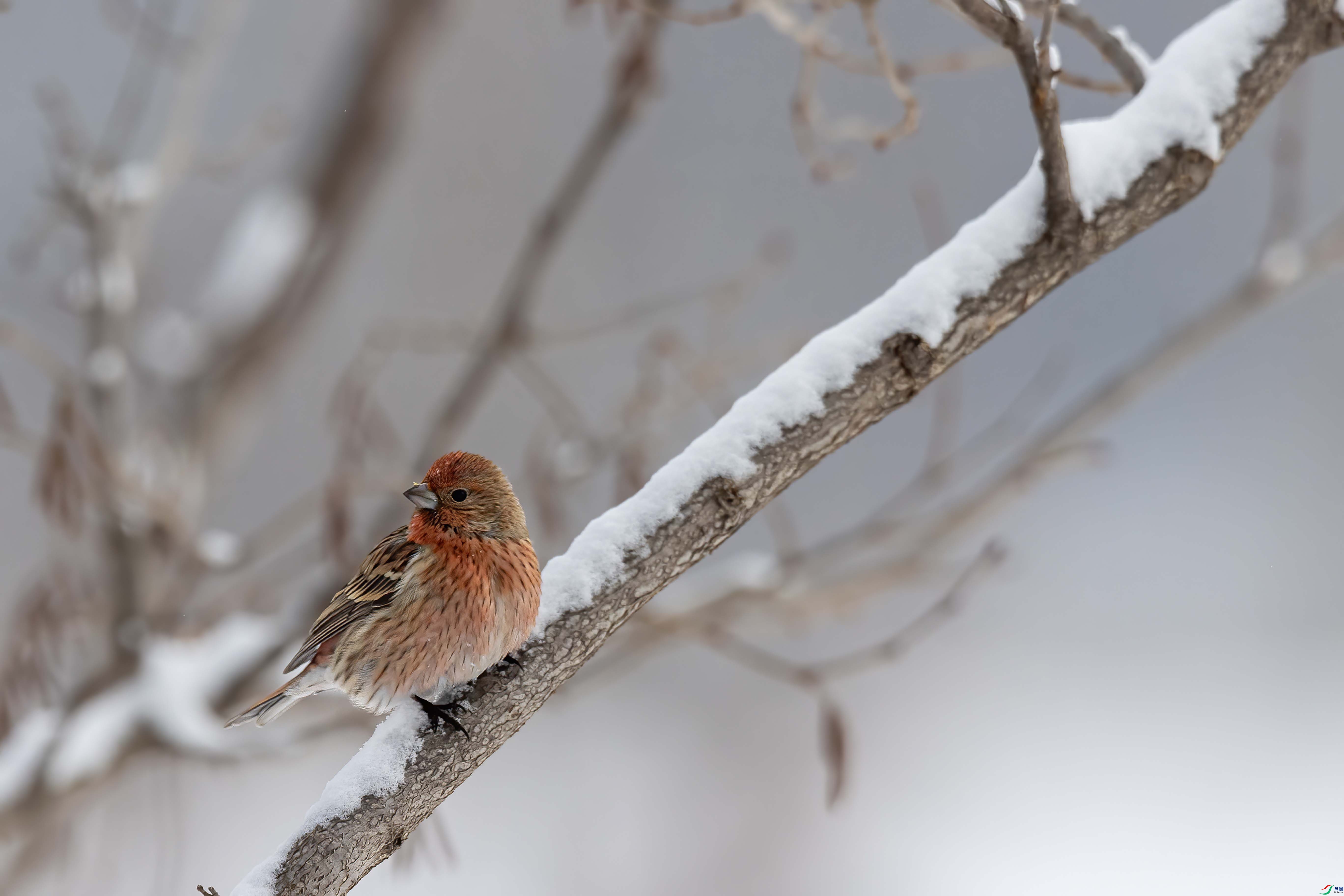 A64I5009 ���� 3.jpg