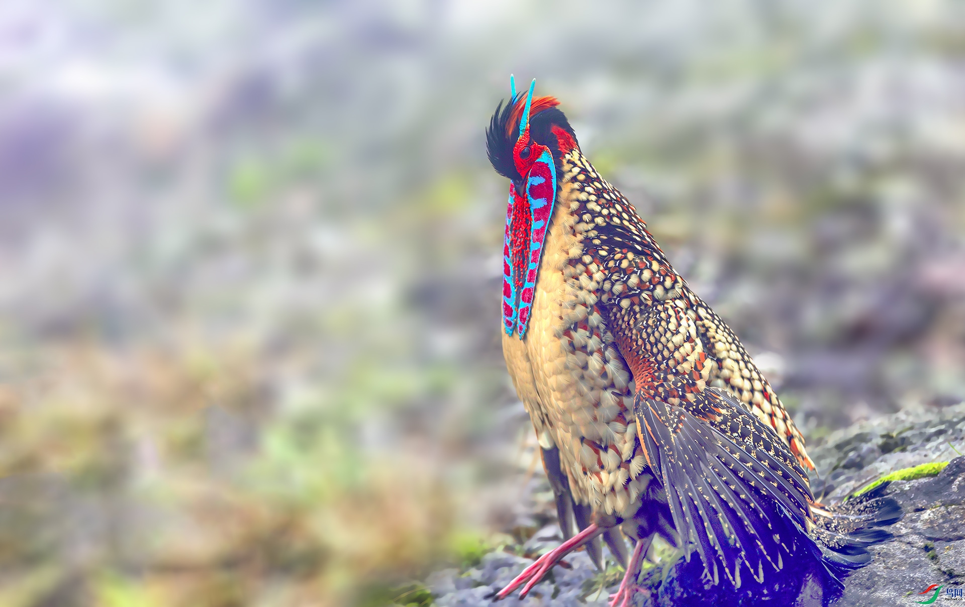 060A3895-------22  .jpg