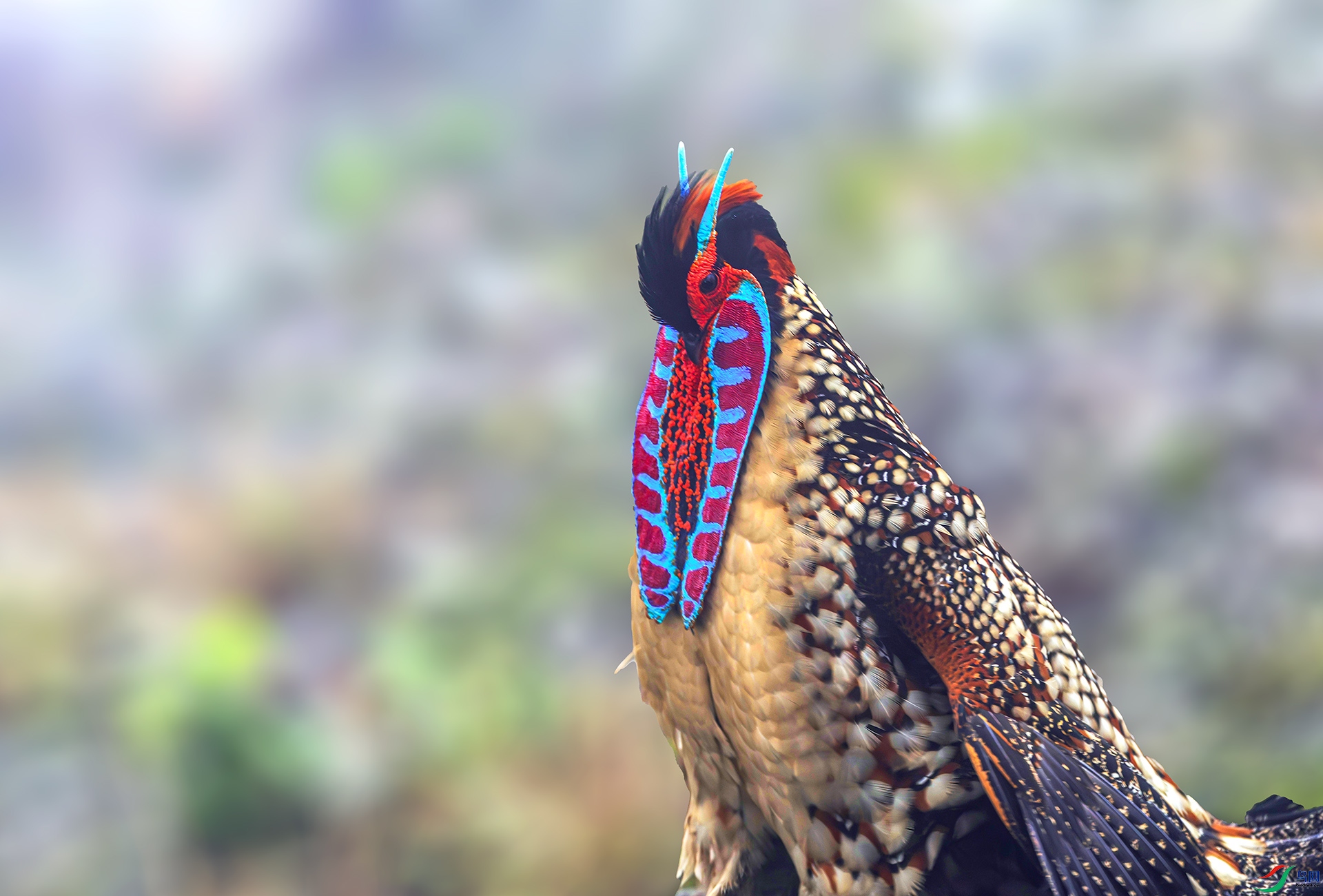 060A3900------22  .jpg