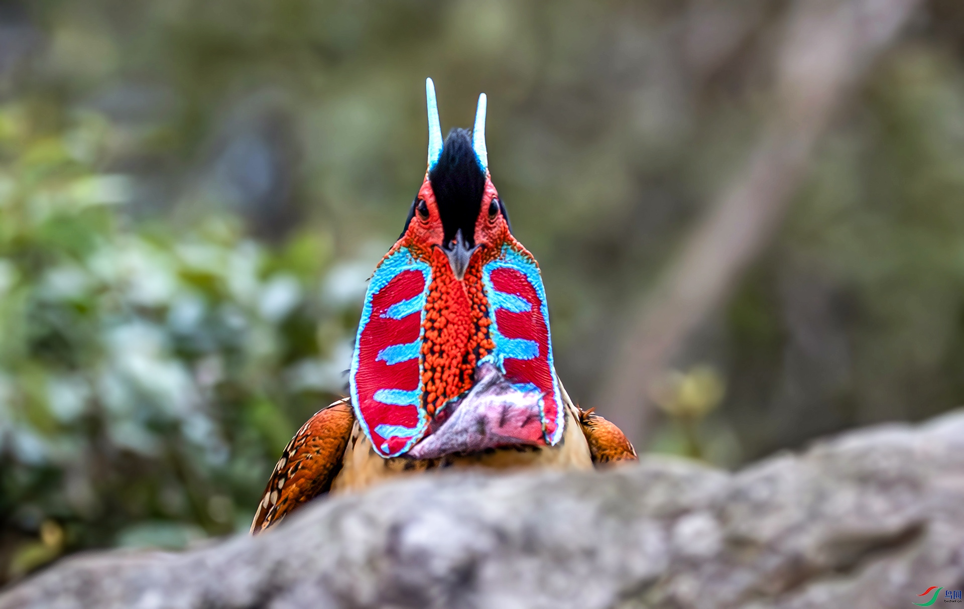 060A4868------22  .jpg