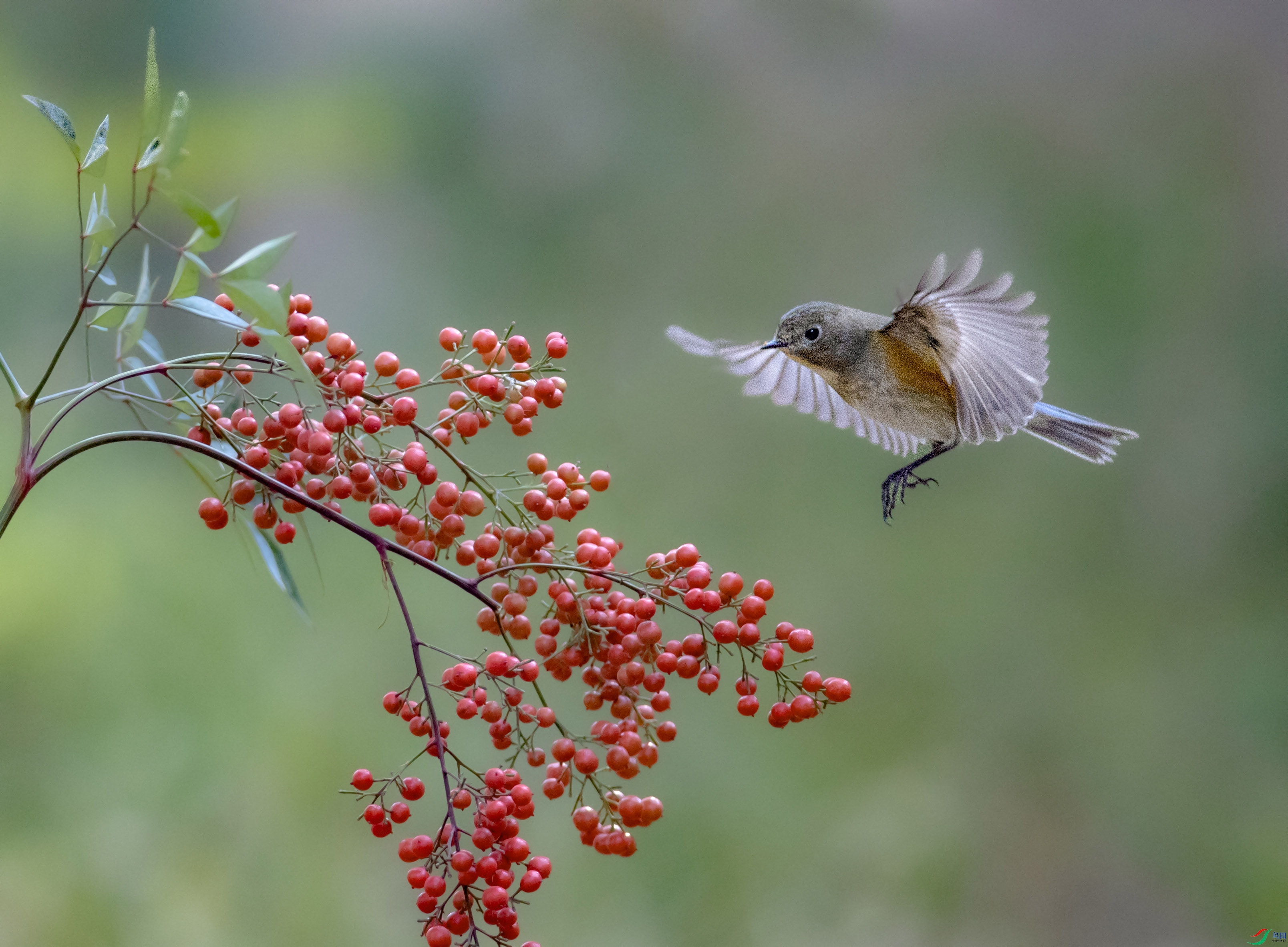 A79I7169 ����.jpg