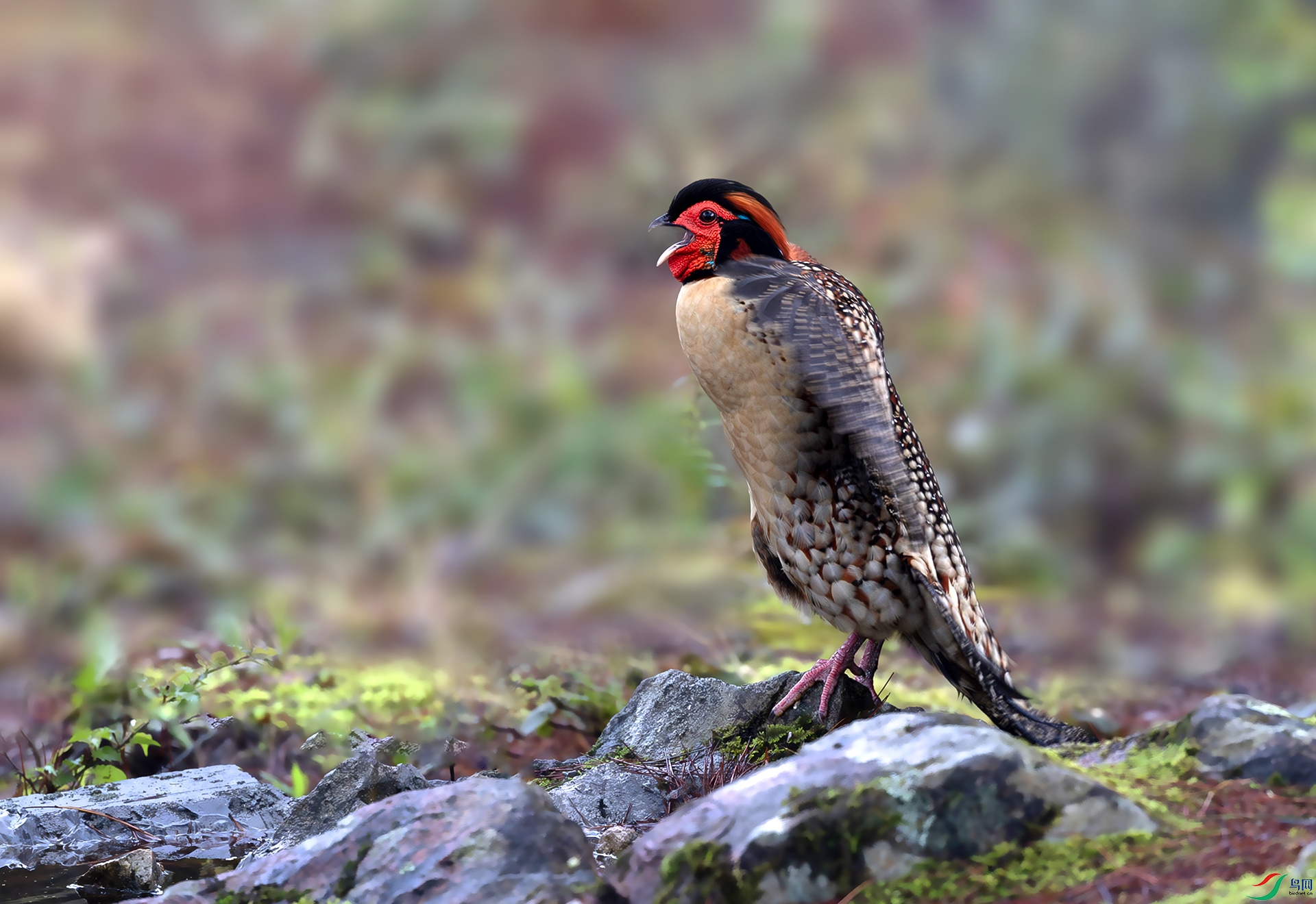 060A5403------22  .jpg