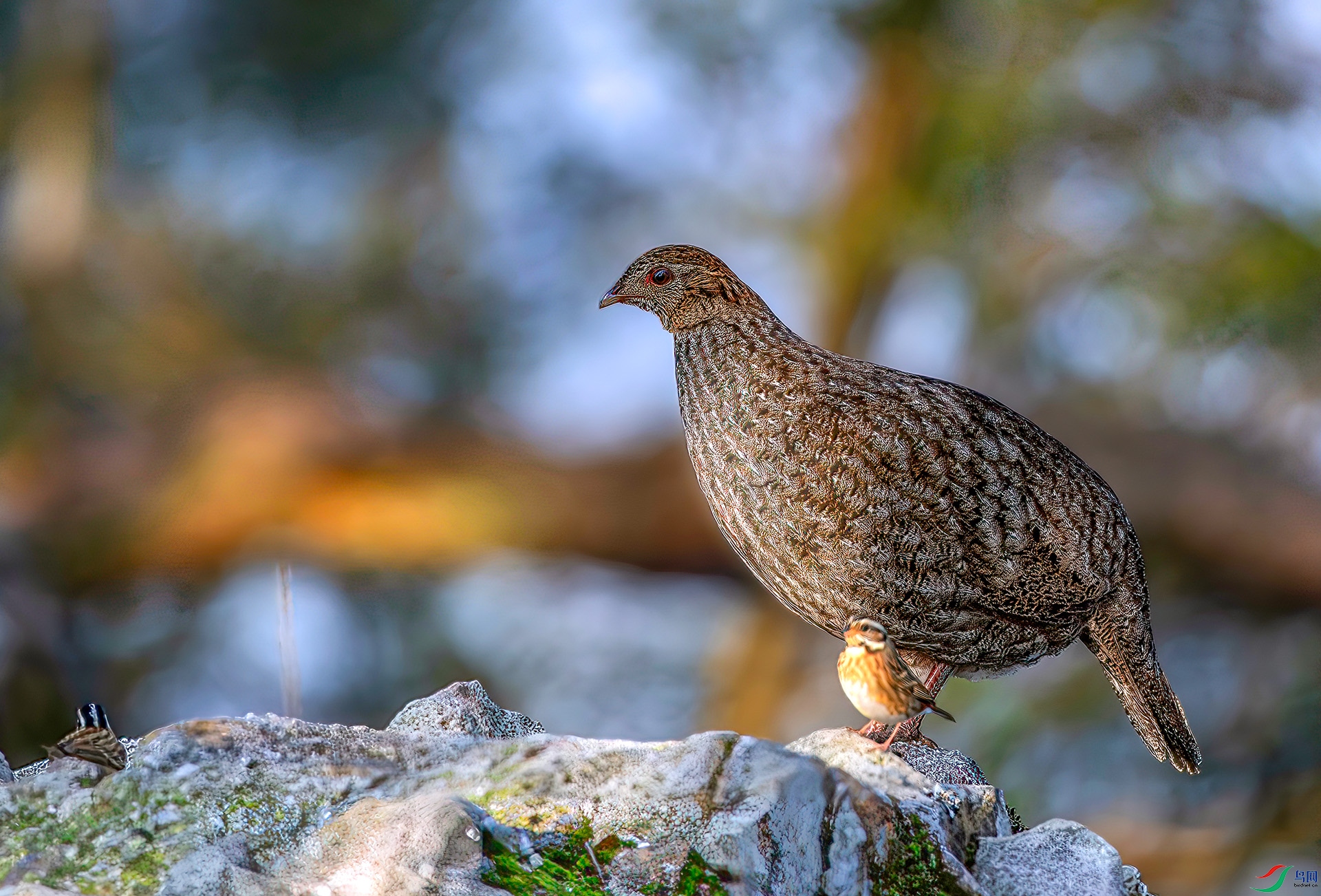 060A9751-----22  .jpg