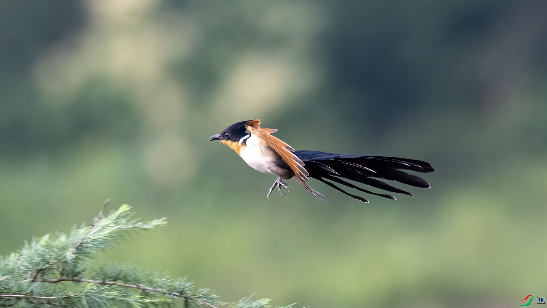 _DSC0047 ����.jpg