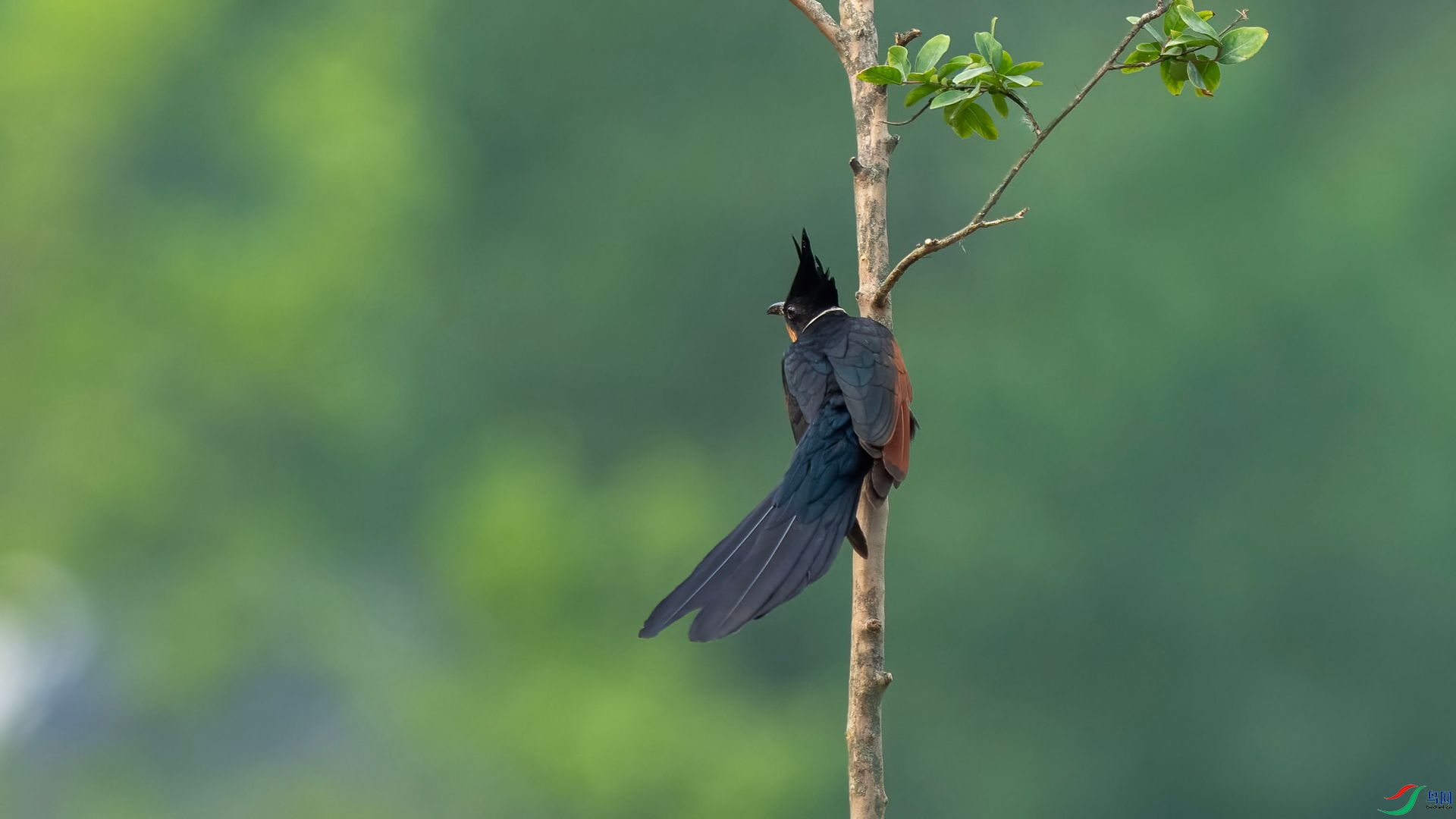 DSC07162 ����.jpg