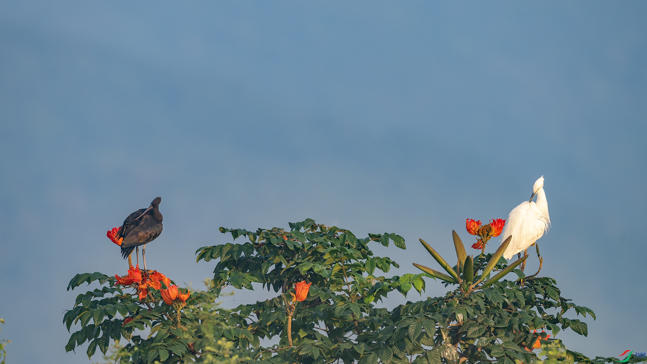 3753 - ����.jpg