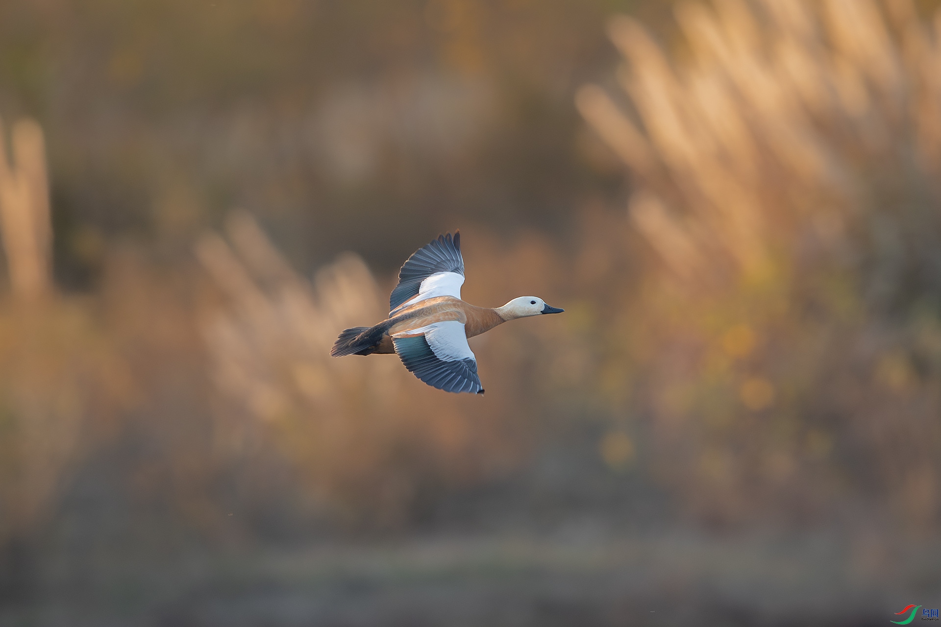 _U3I5002 ����.jpg