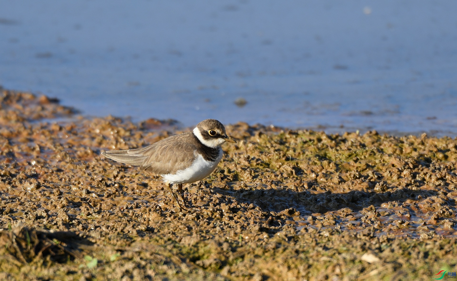 DSC_6183.jpg
