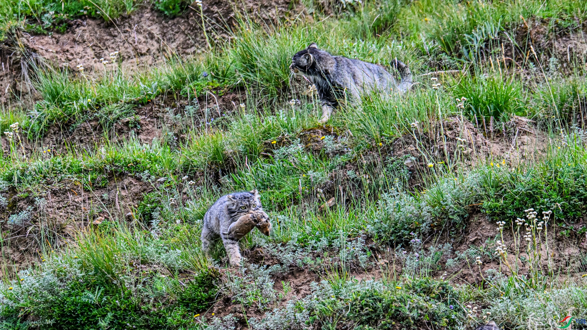 DSC_4762_����.jpg