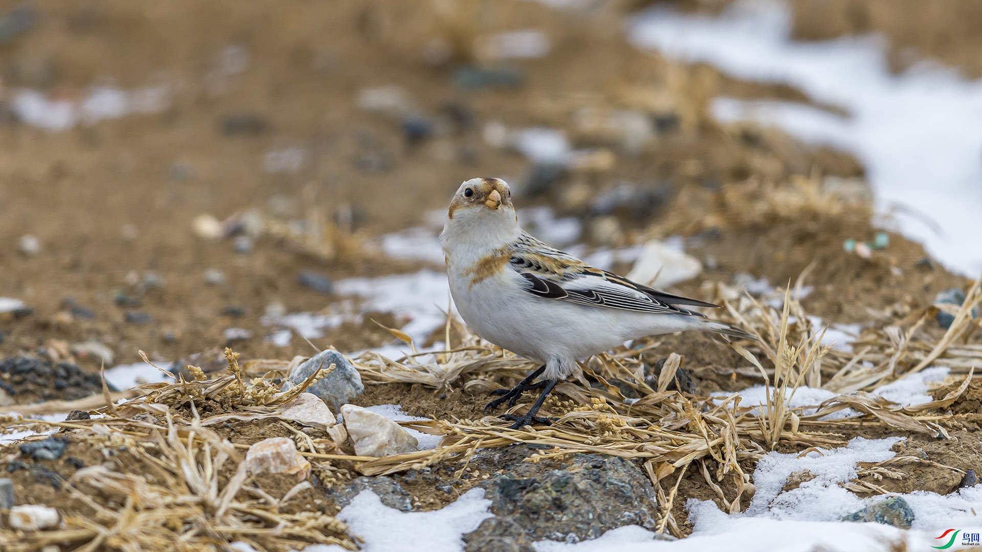 051A5331 ����n.jpg