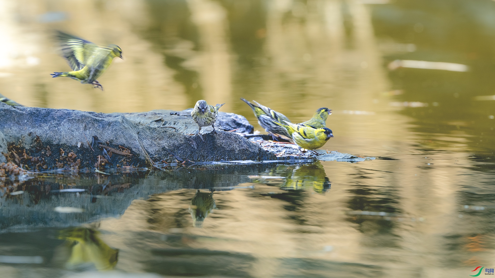 DSC_8742 ����.jpg