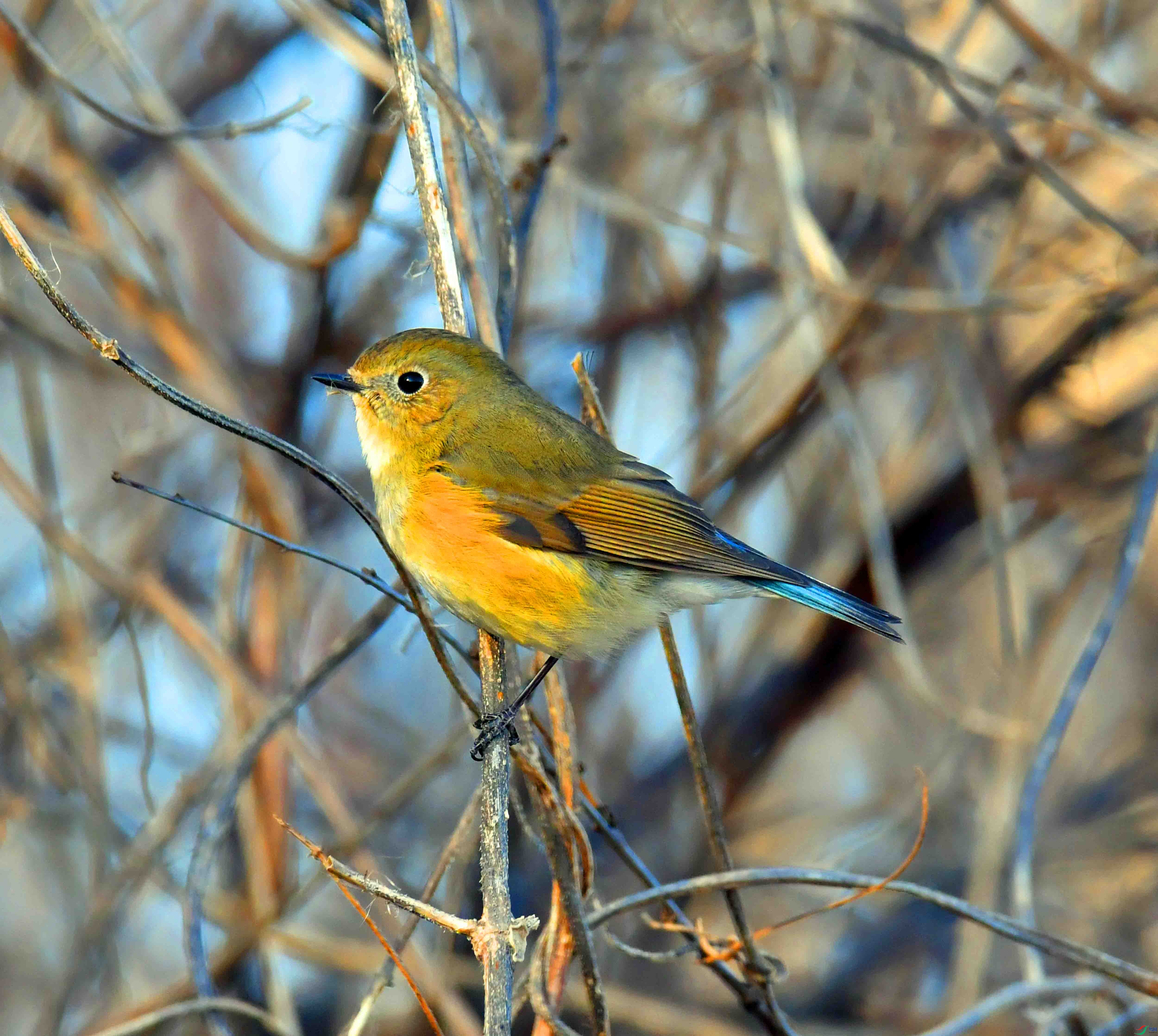 DSC_0834.JPG