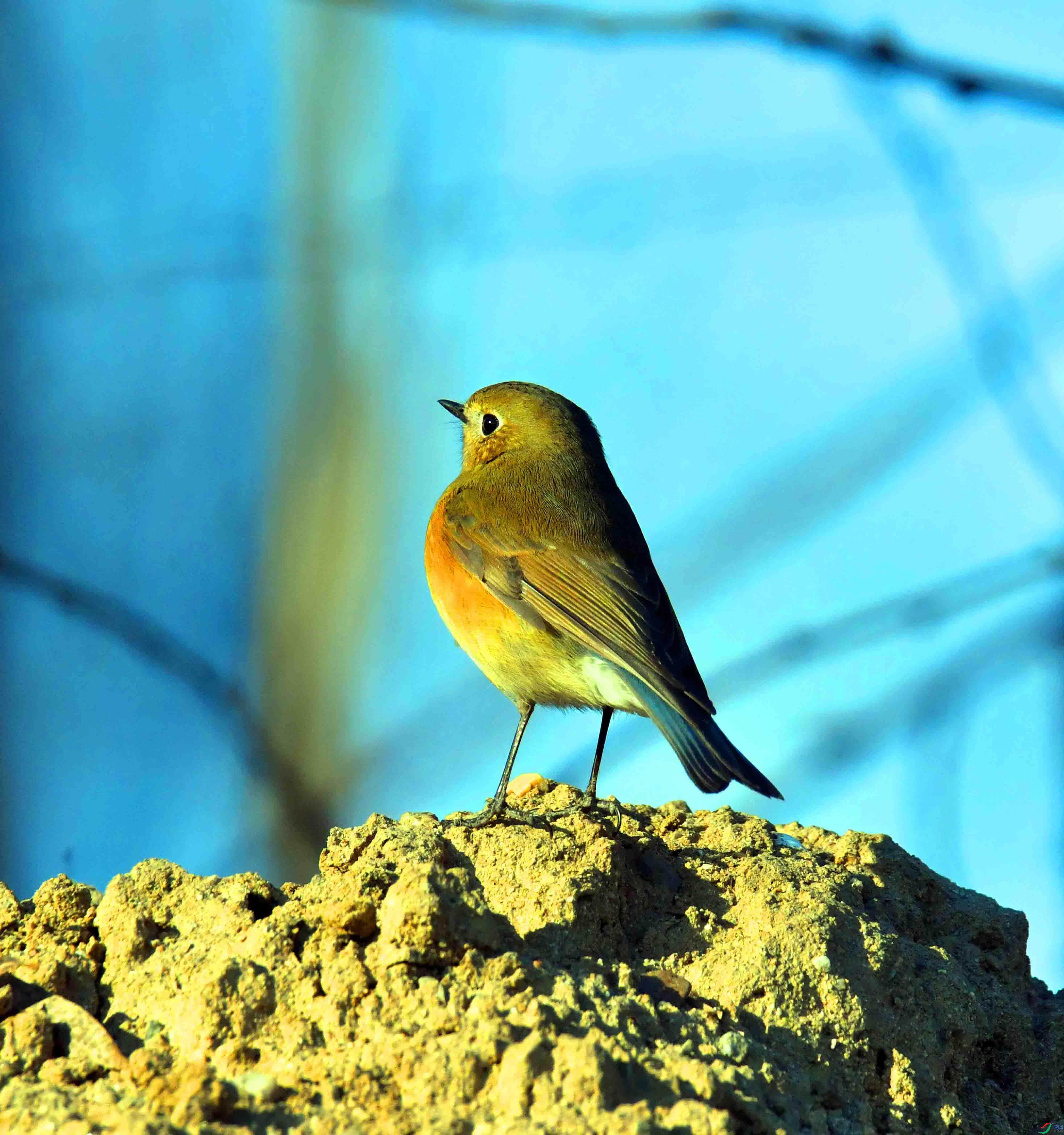 DSC_1668.JPG