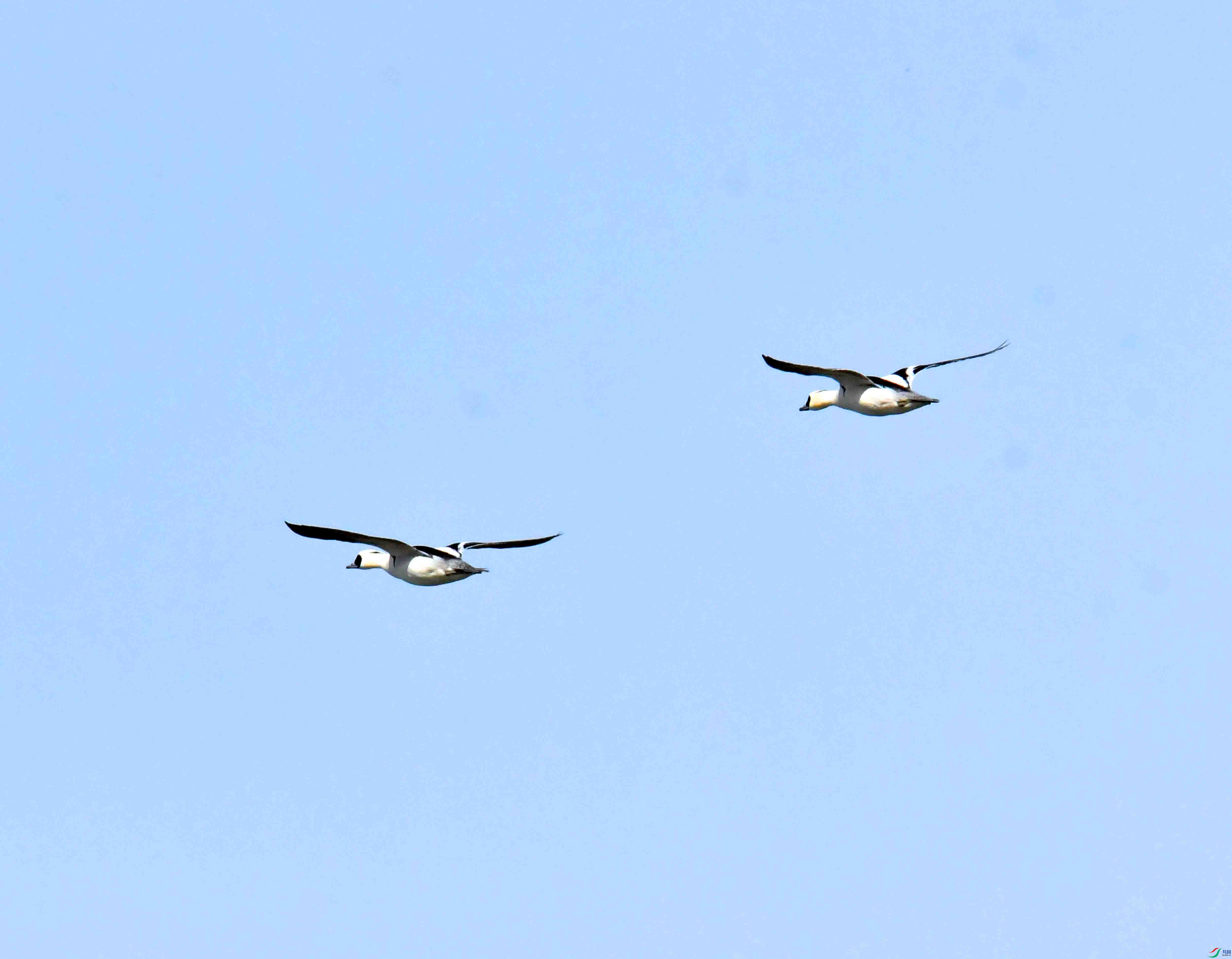 DSC_4083.JPG