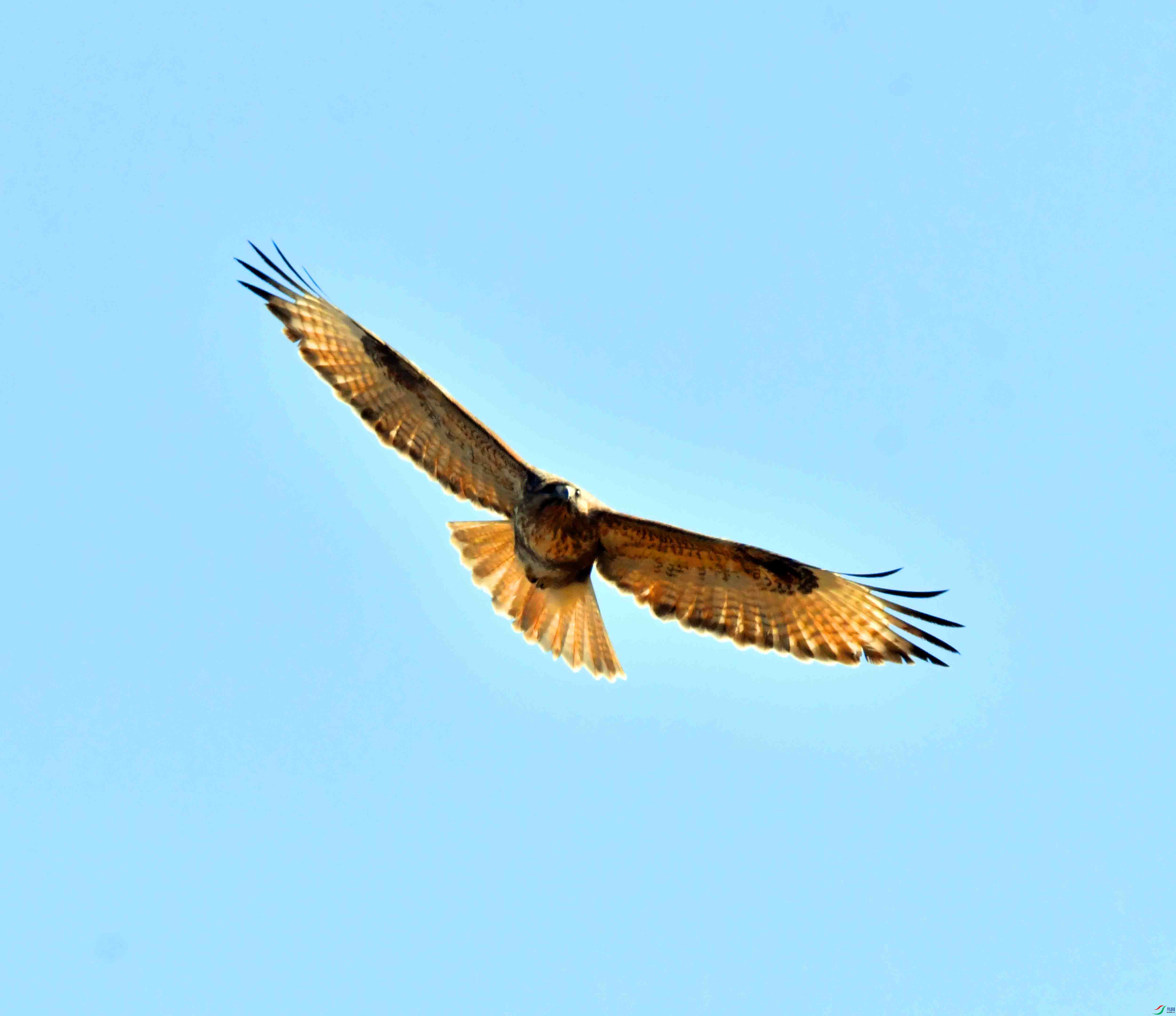 DSC_0974.JPG