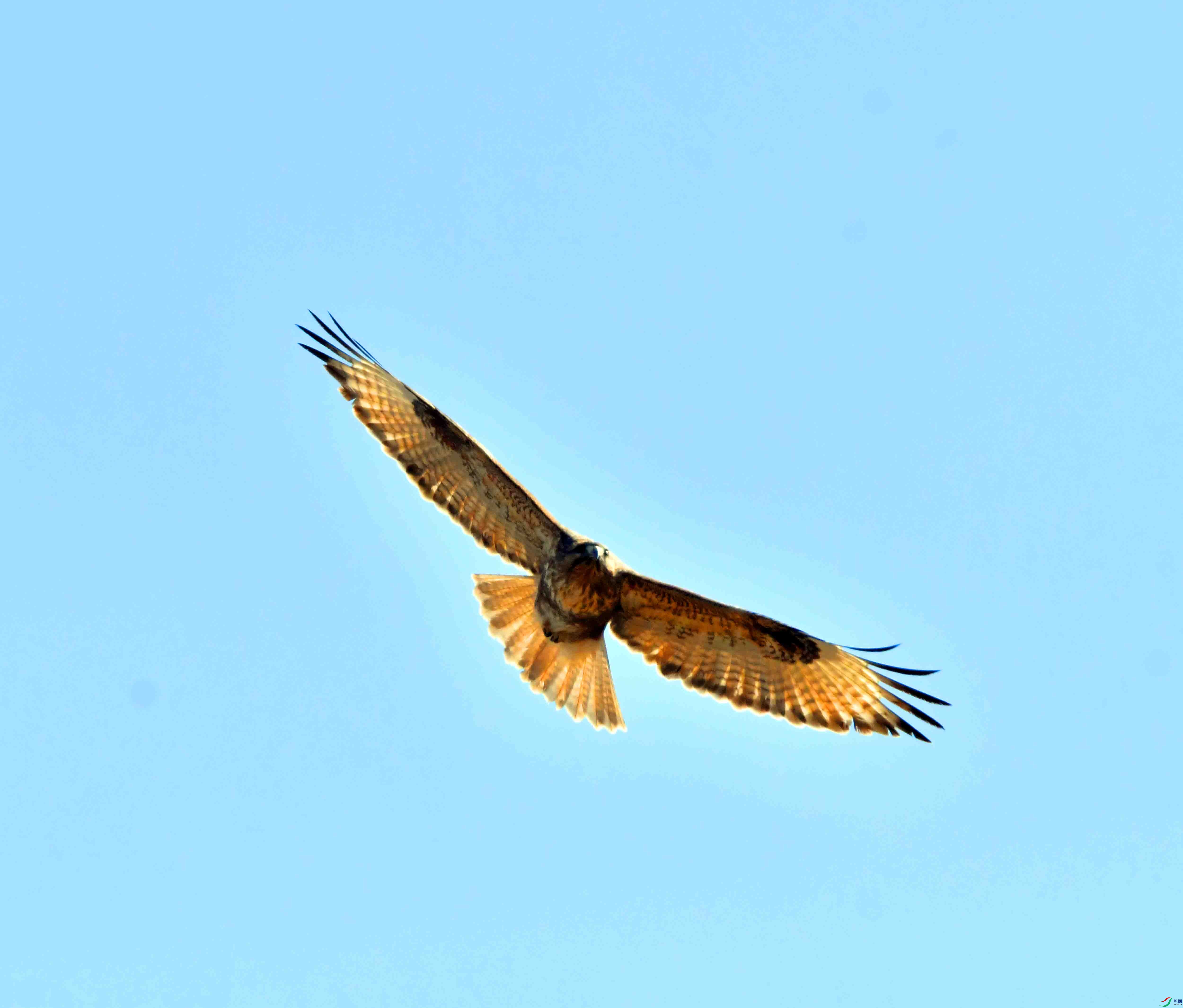 DSC_0975.JPG