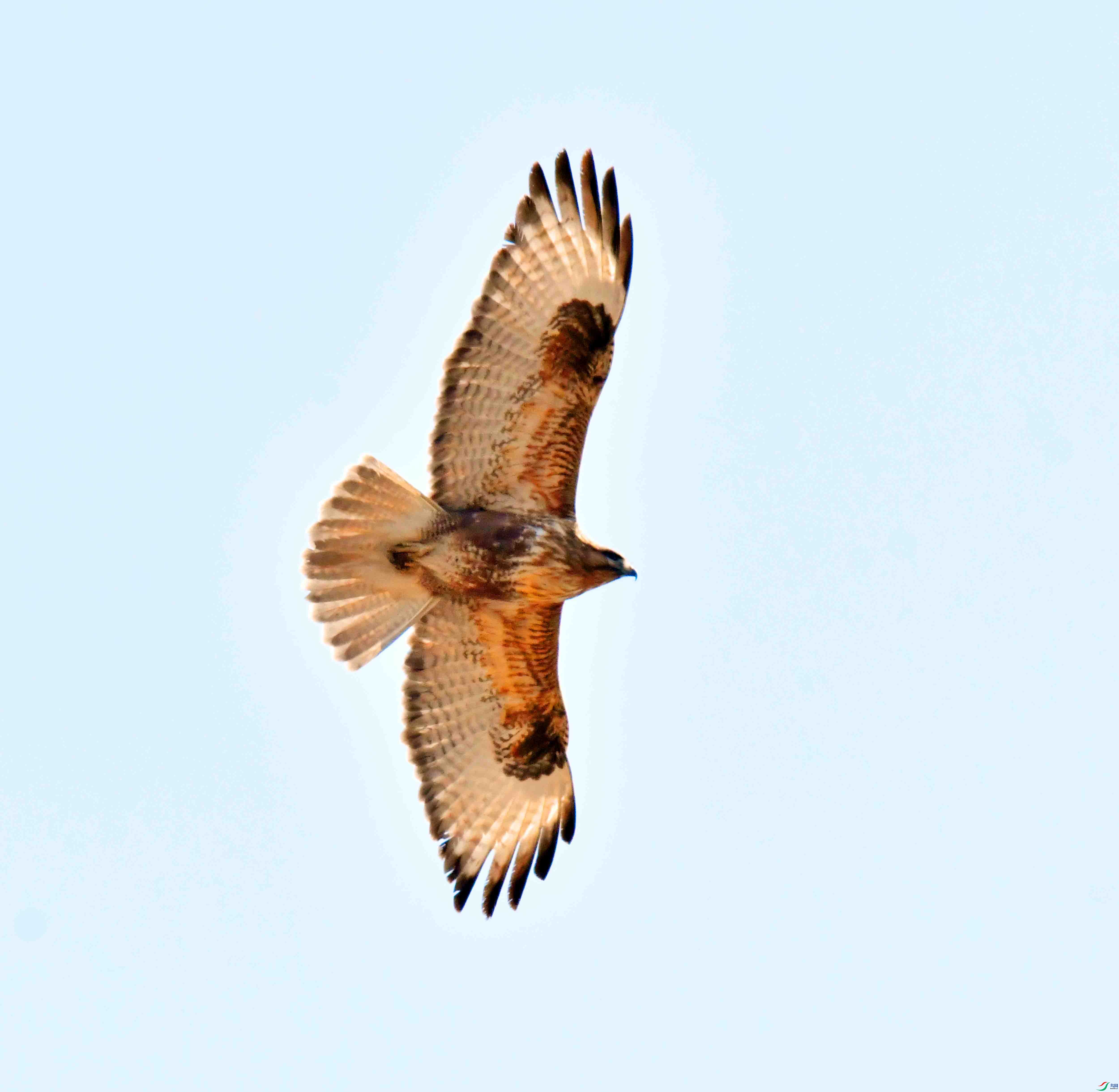 DSC_0980.JPG