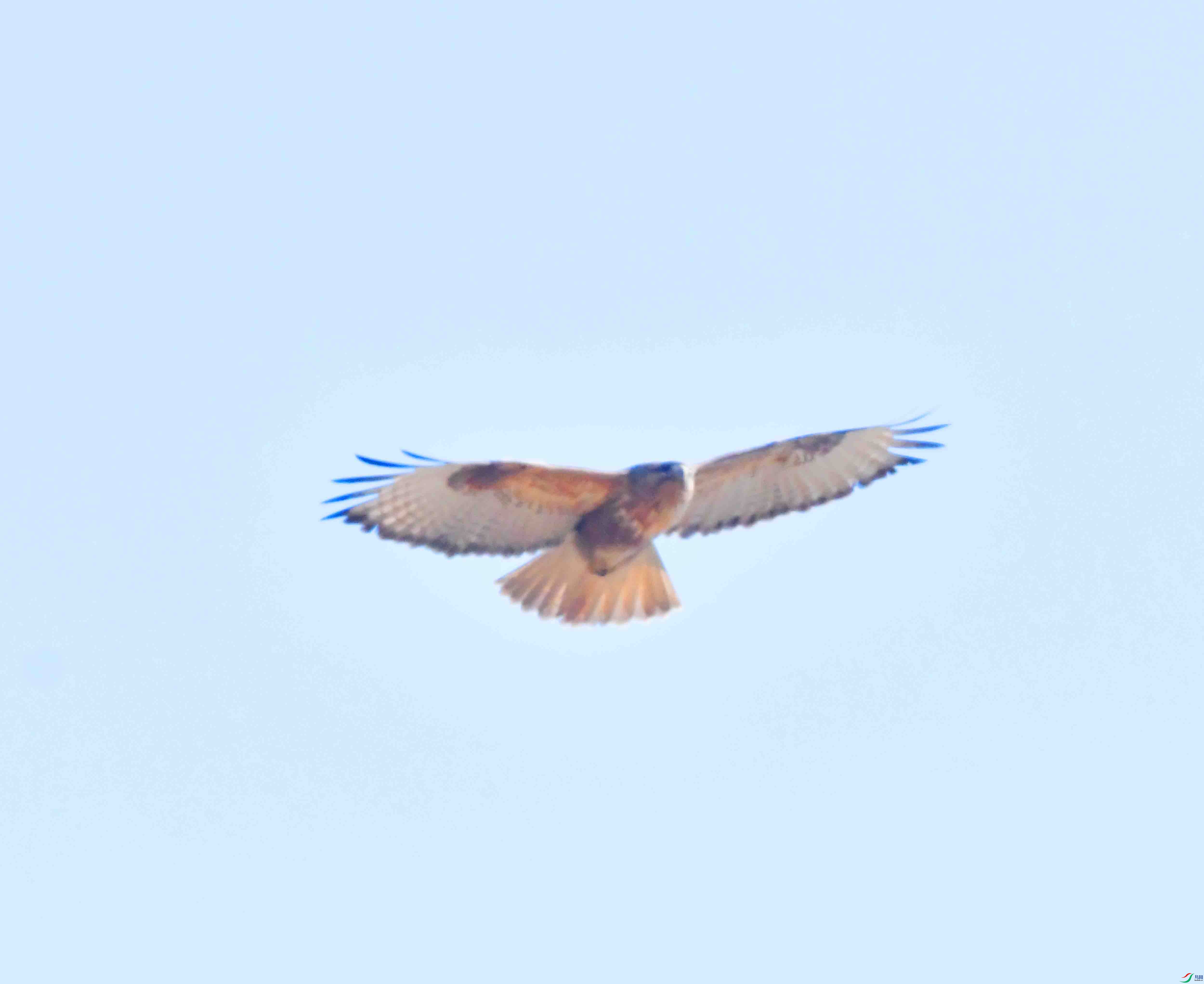DSC_0994.JPG