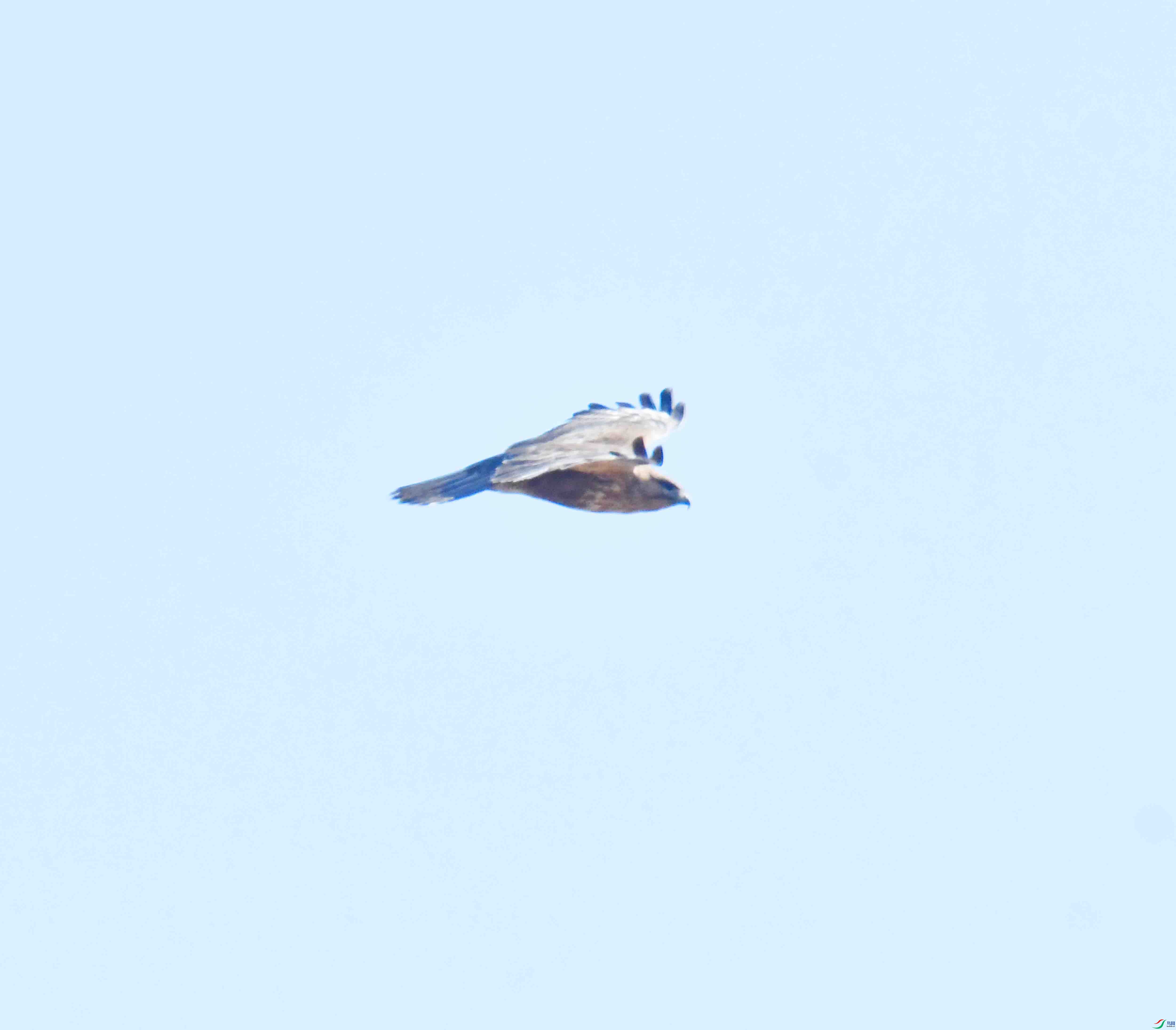 DSC_0989.JPG