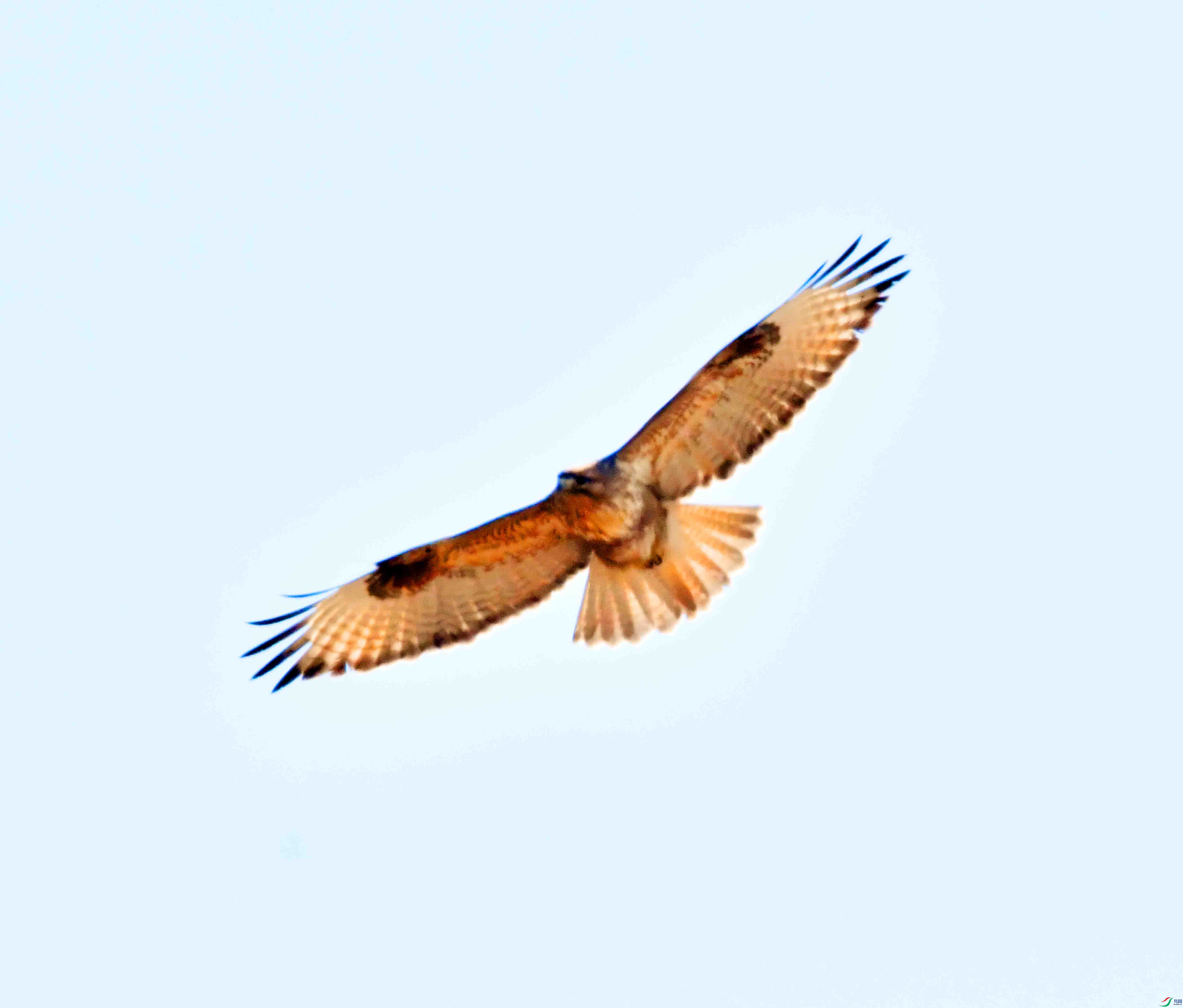DSC_0997.JPG