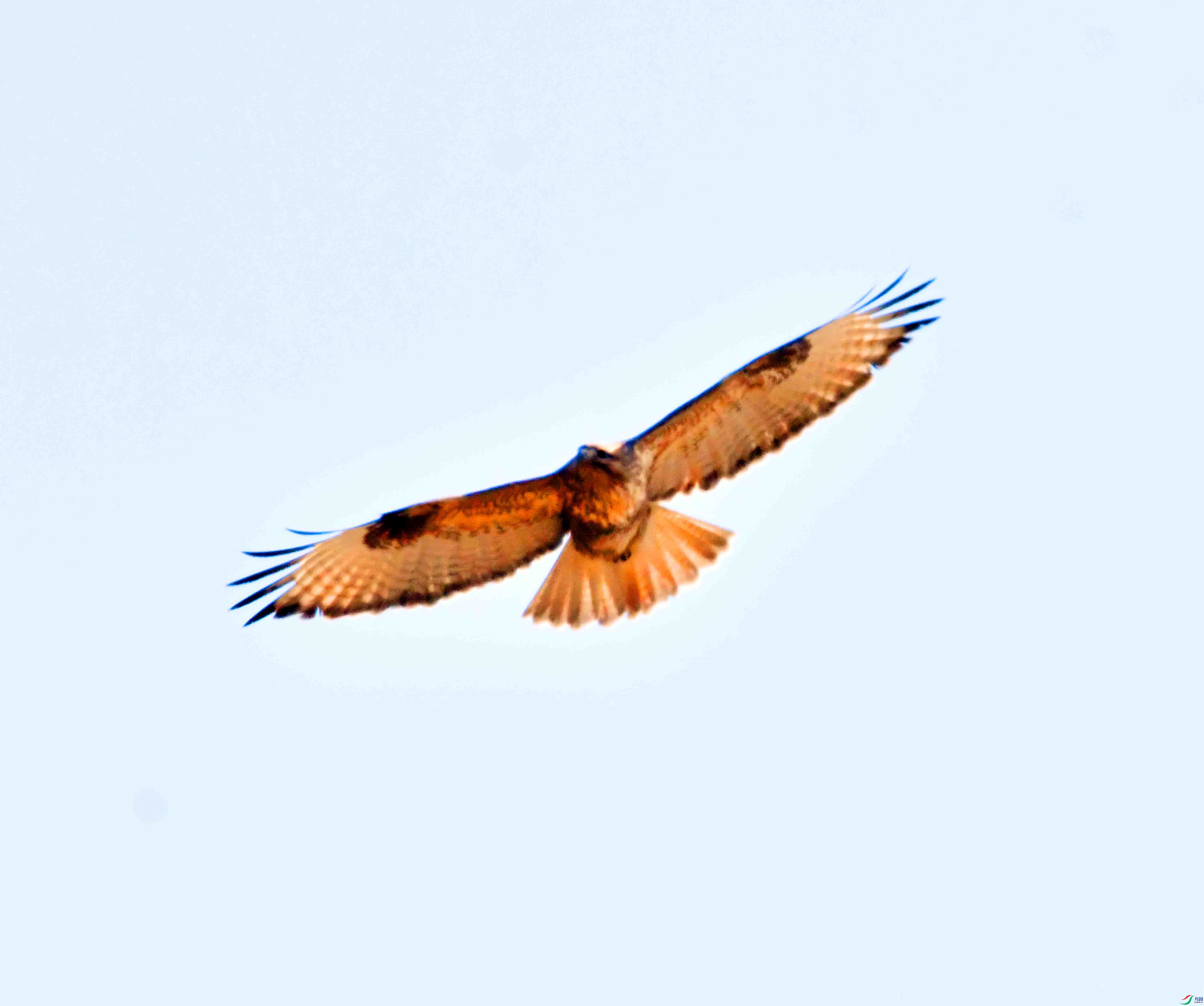DSC_0995.JPG