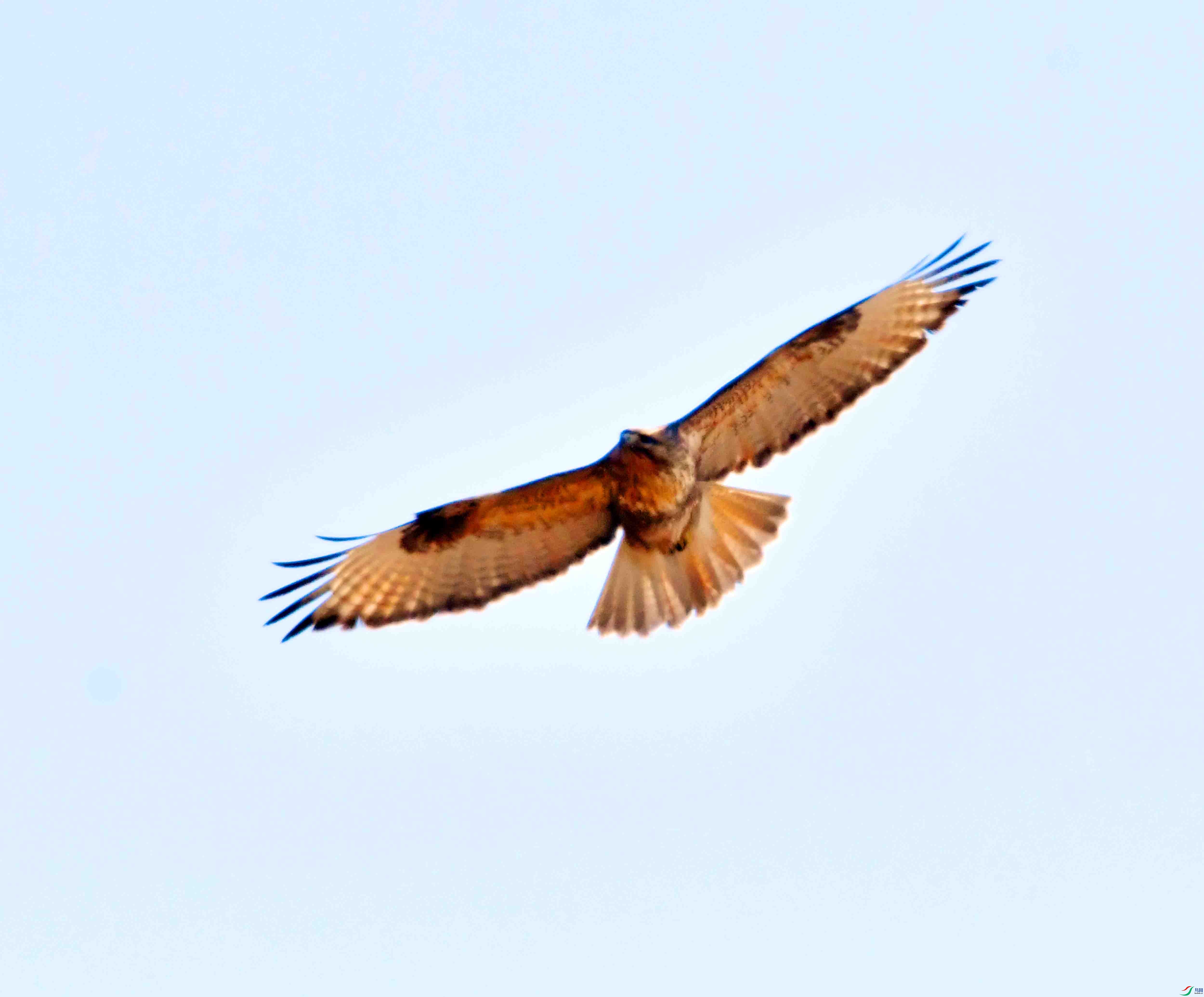 DSC_0996.JPG