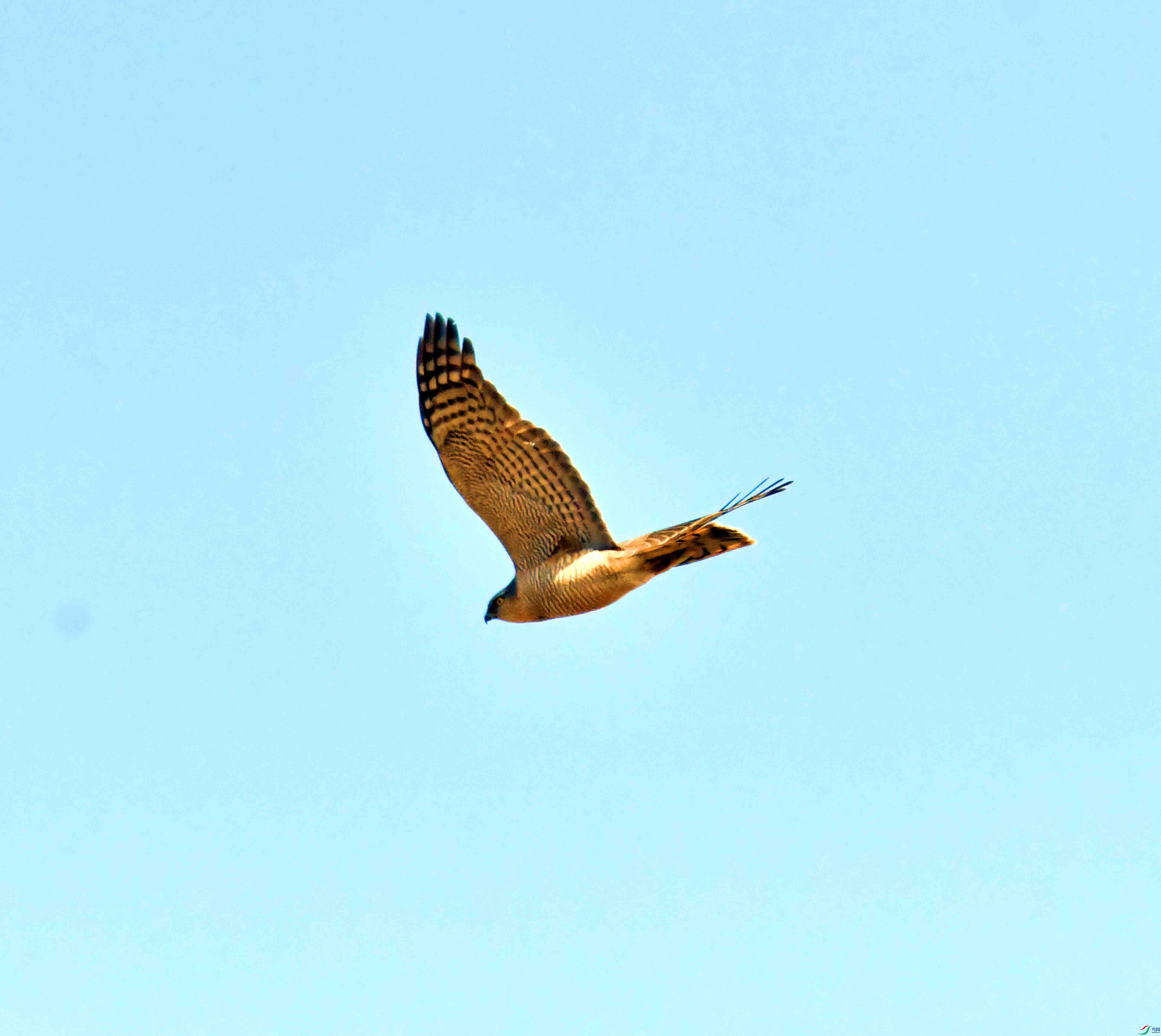 DSC_1021.JPG