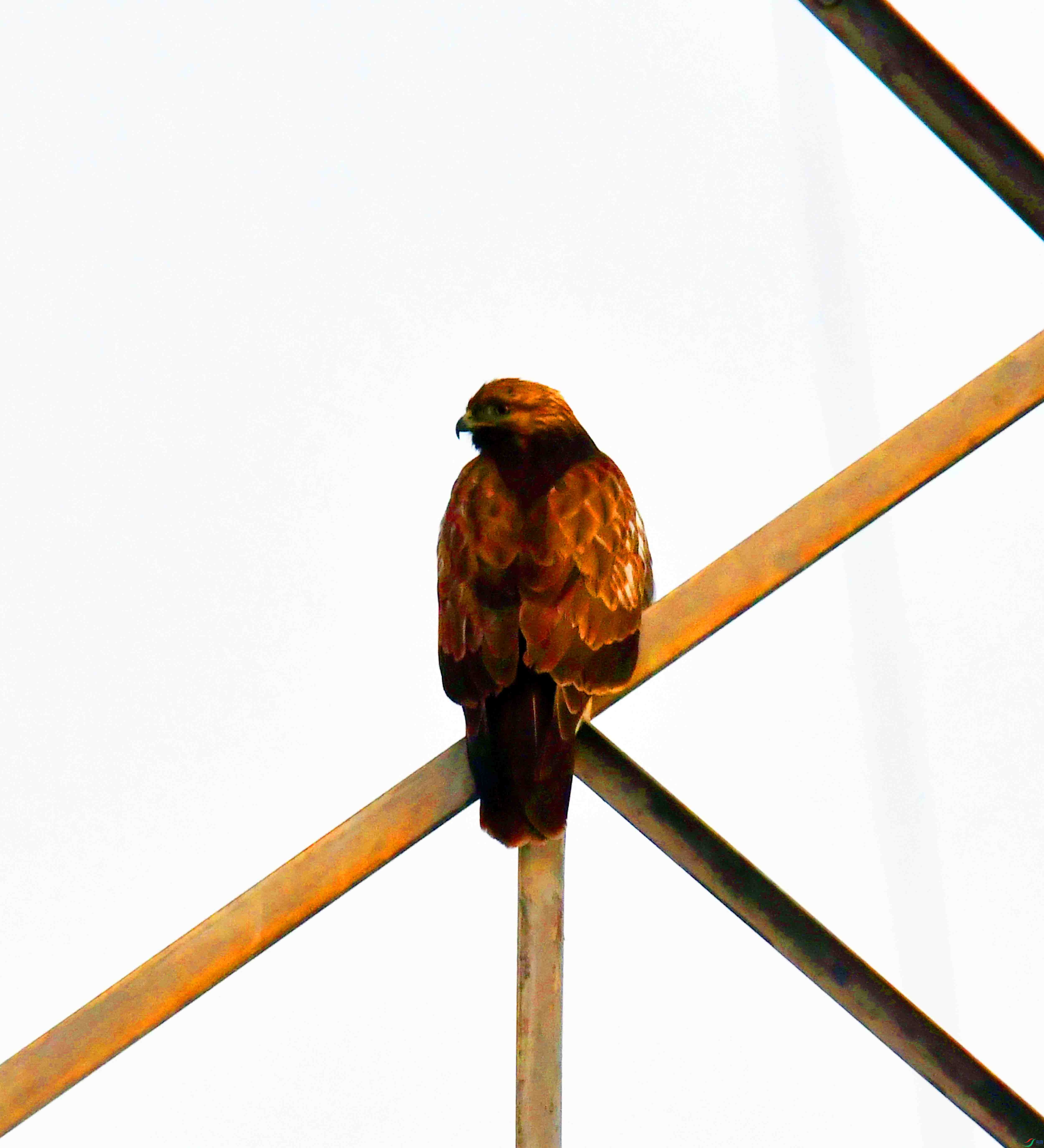 DSC_1175.JPG