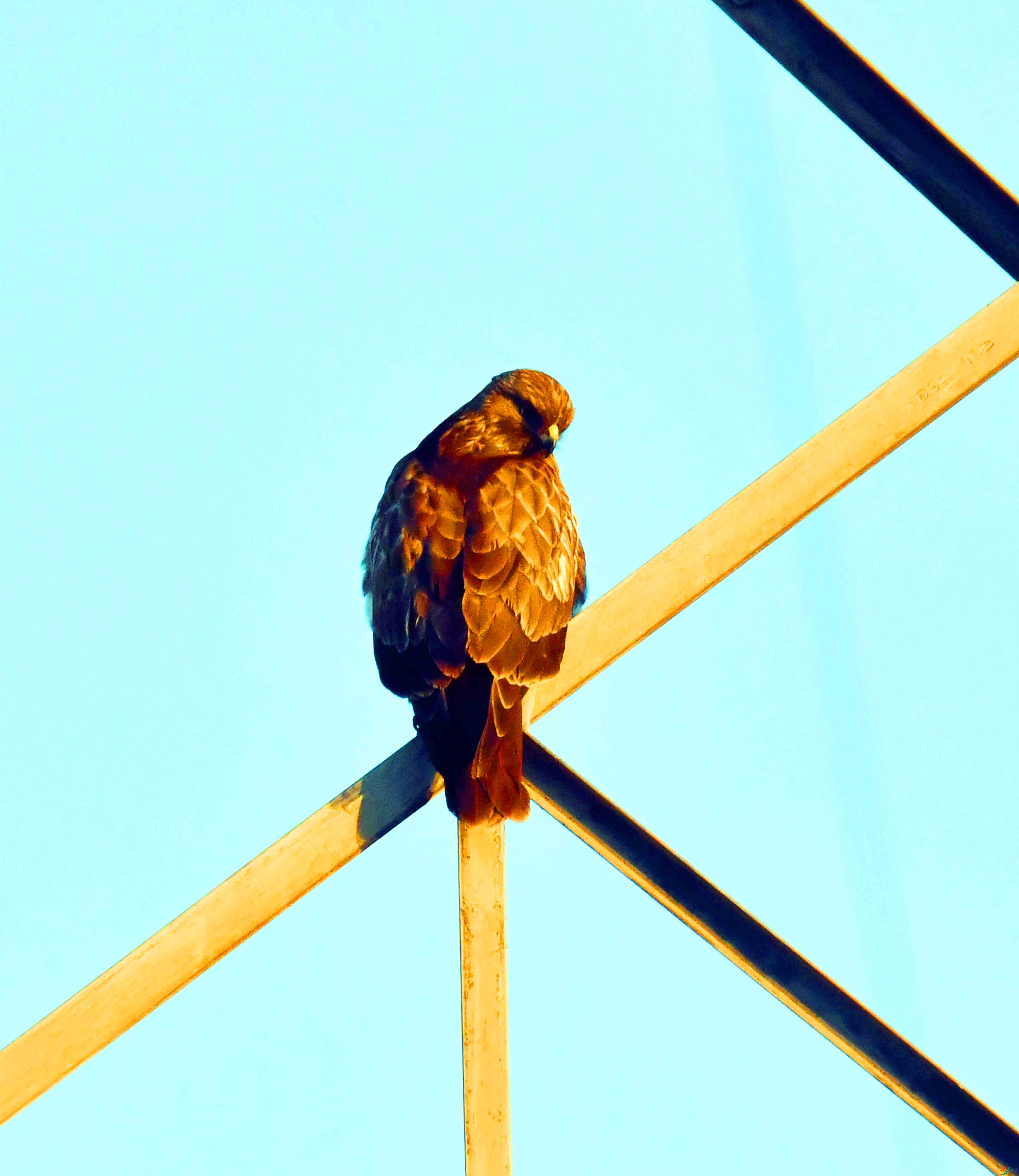 DSC_1277.JPG