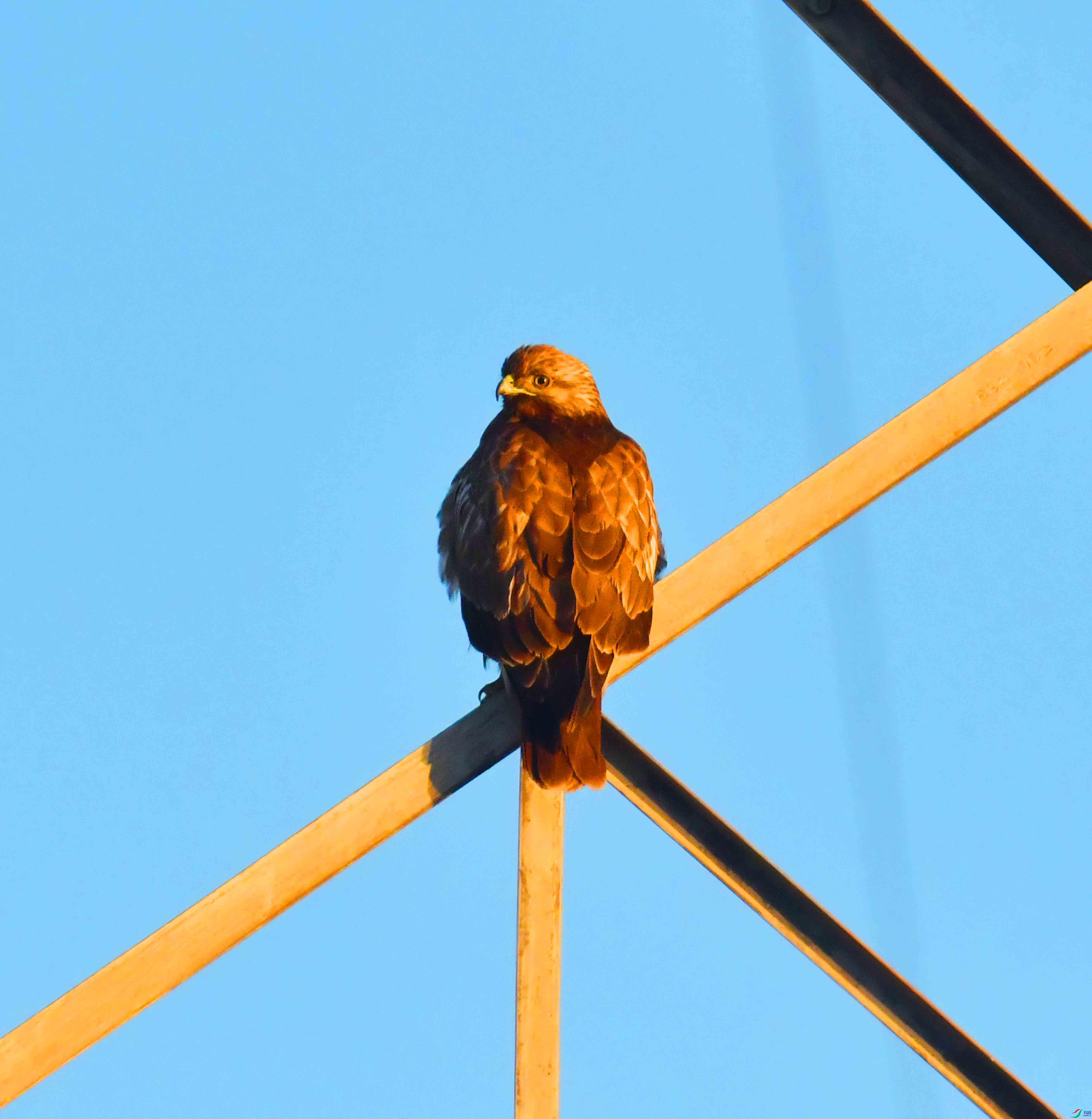 DSC_1293.JPG