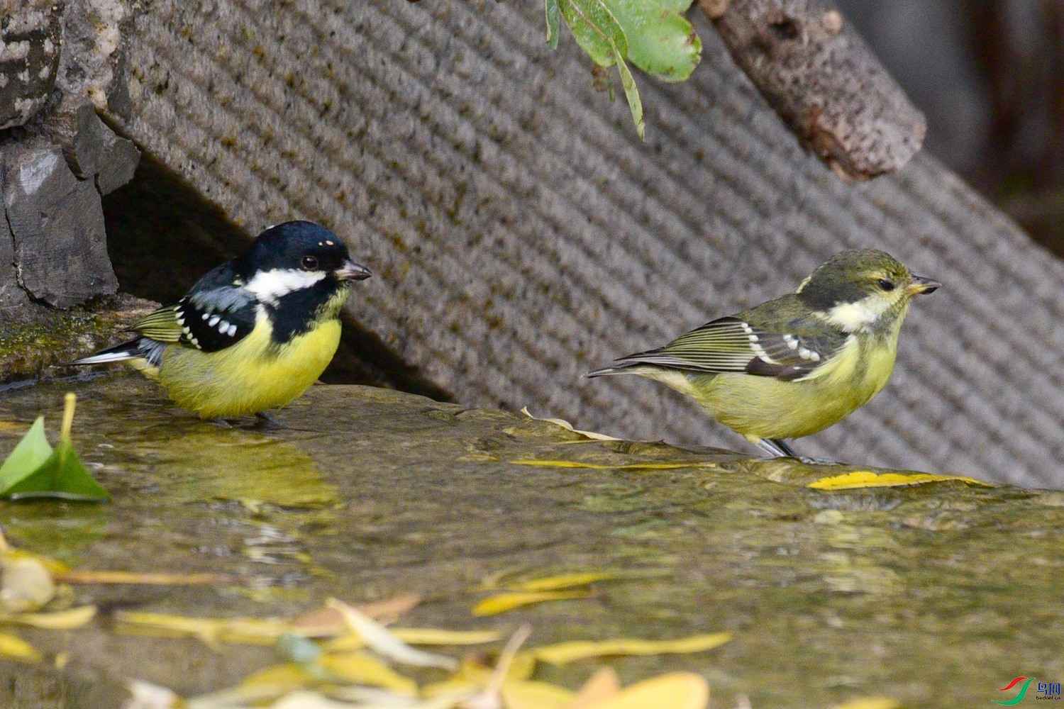 DSC_6508.JPG