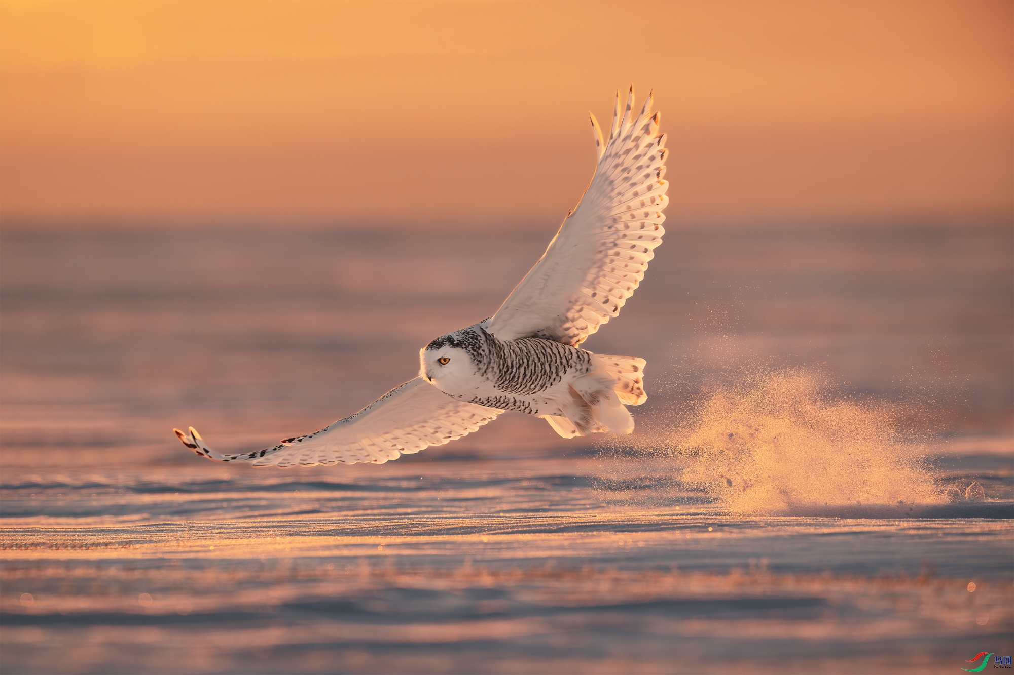 _DSC0499 ����_2.jpg