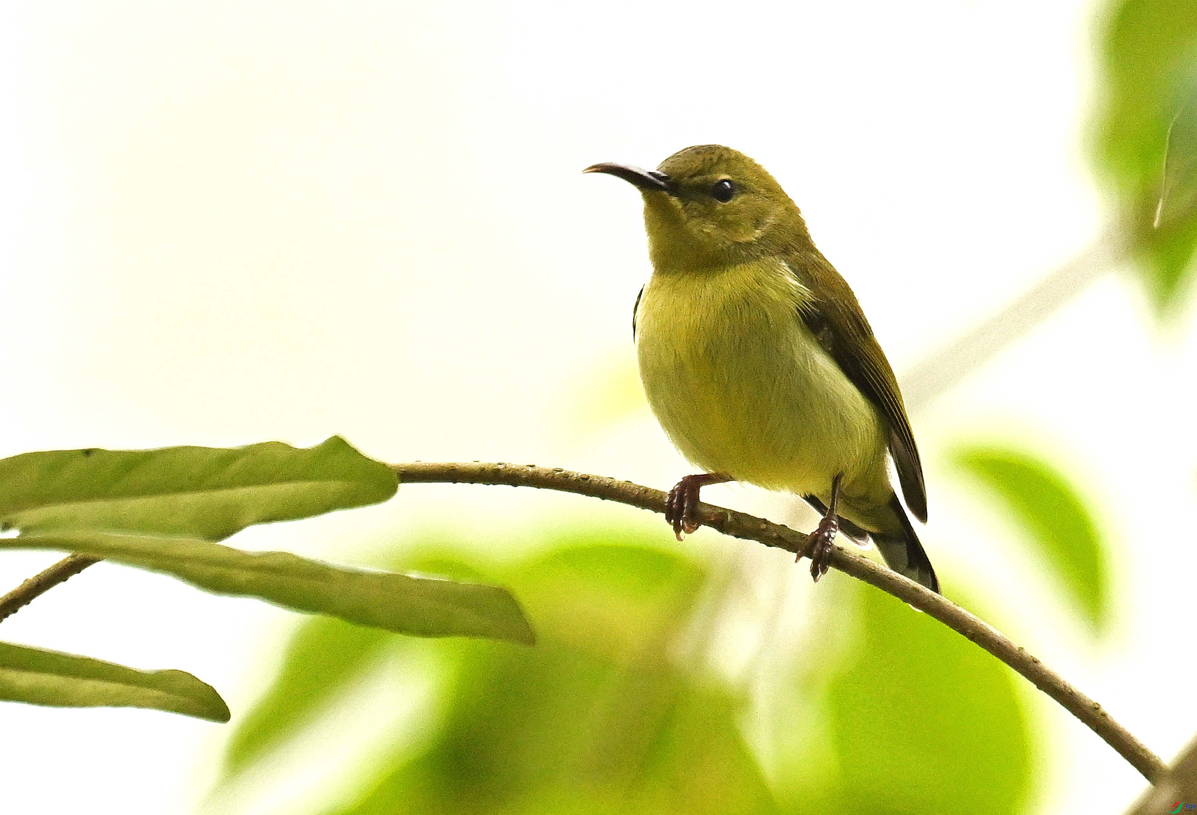 DSC_5827.jpg