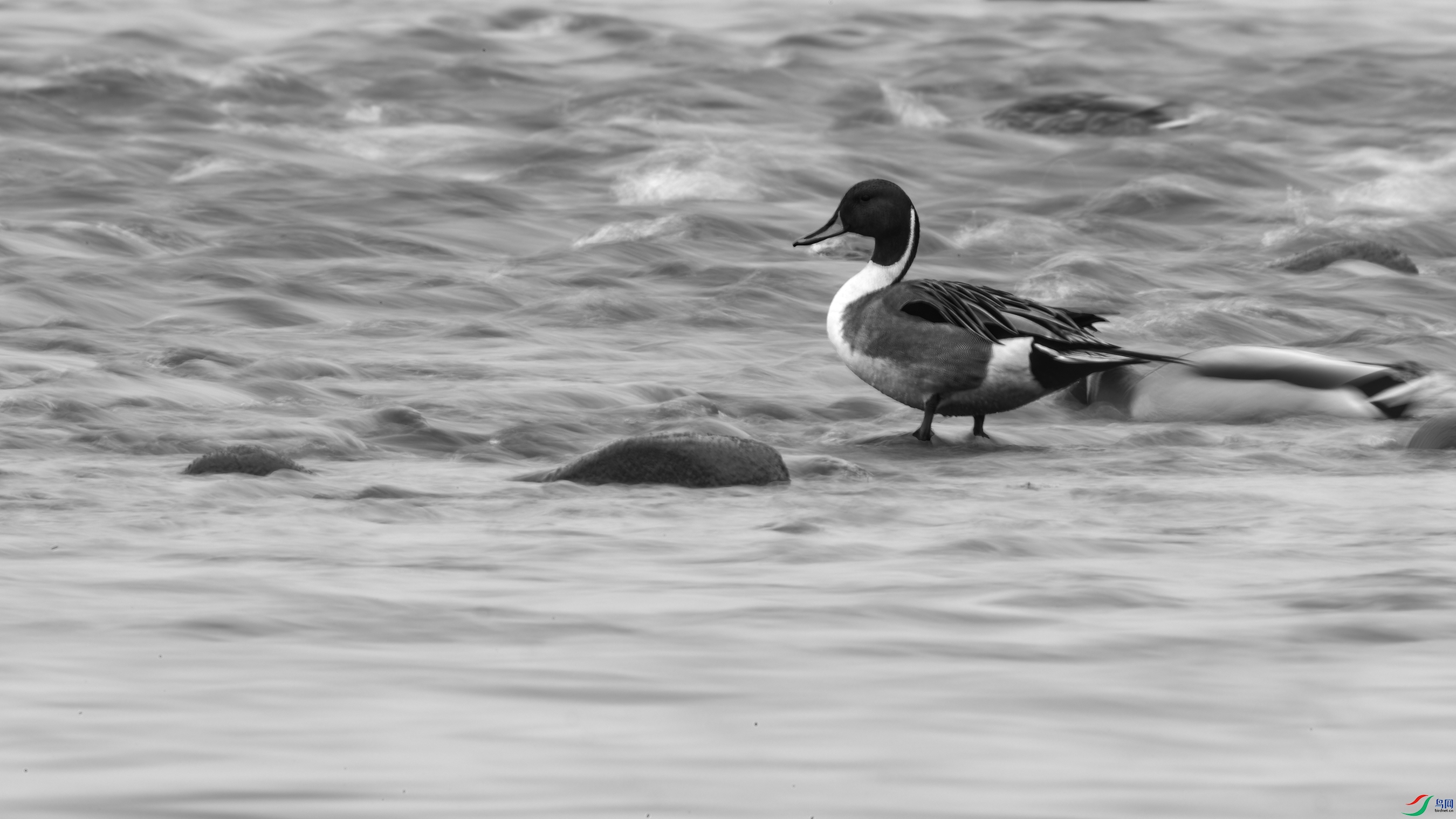 DSC_1345_DxO.jpg
