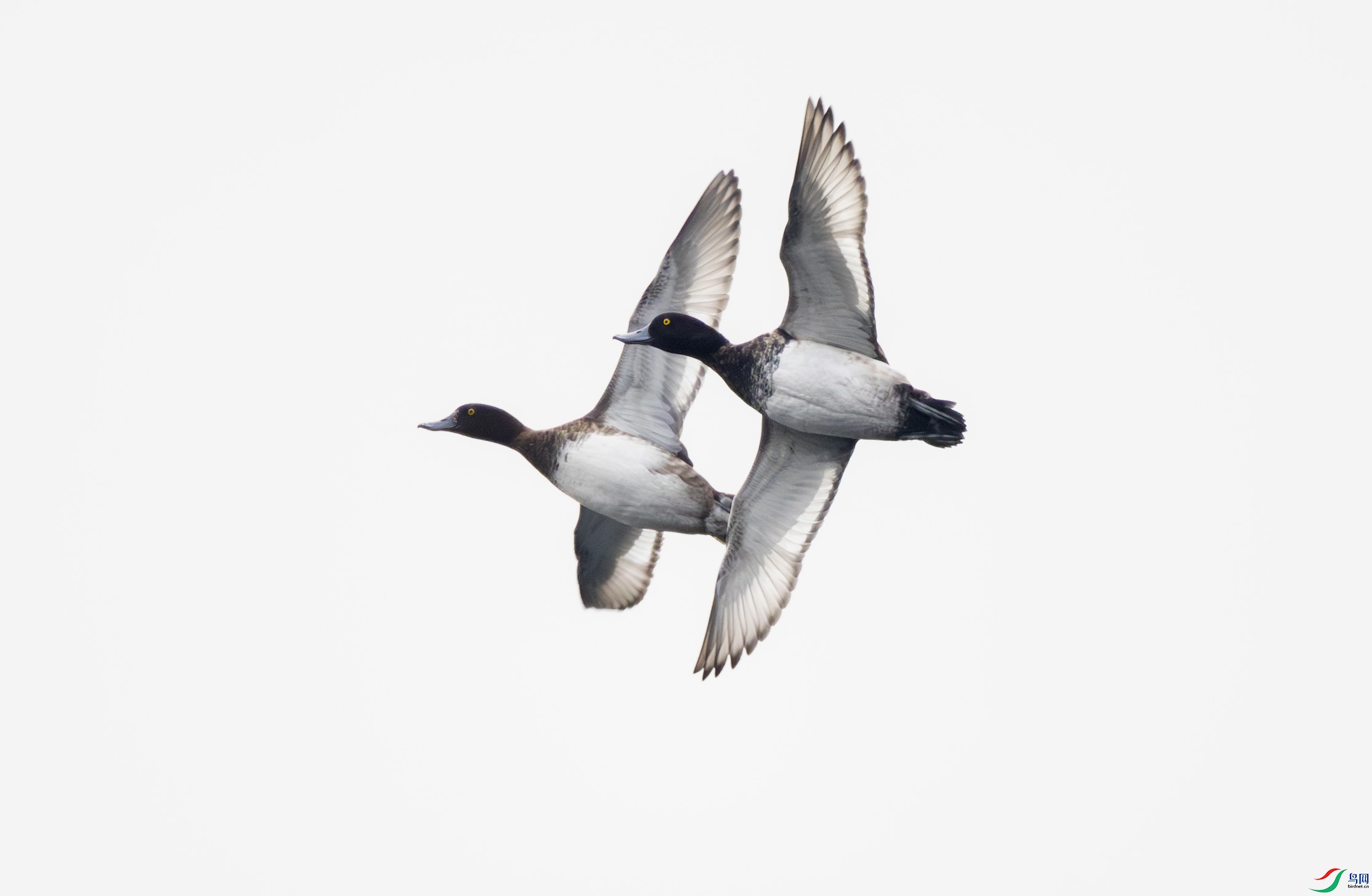 G47A0844-����ǿ-NR ����.jpg