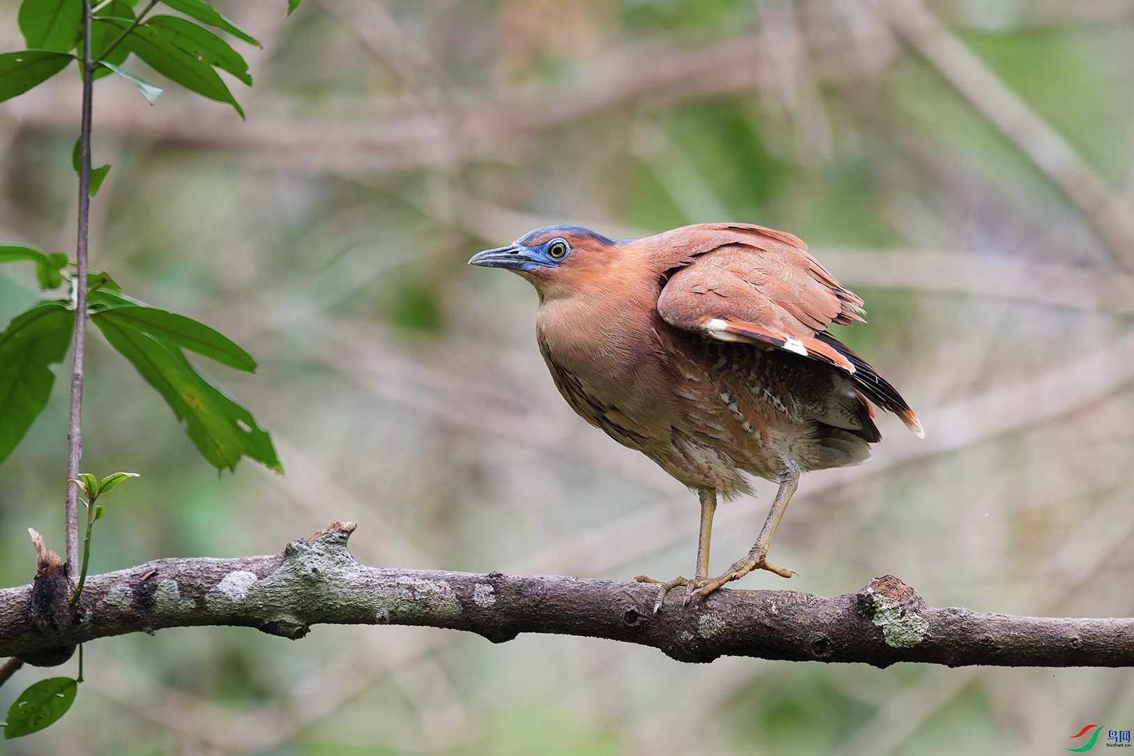 DSC_7707_DxO_DxOa.jpg