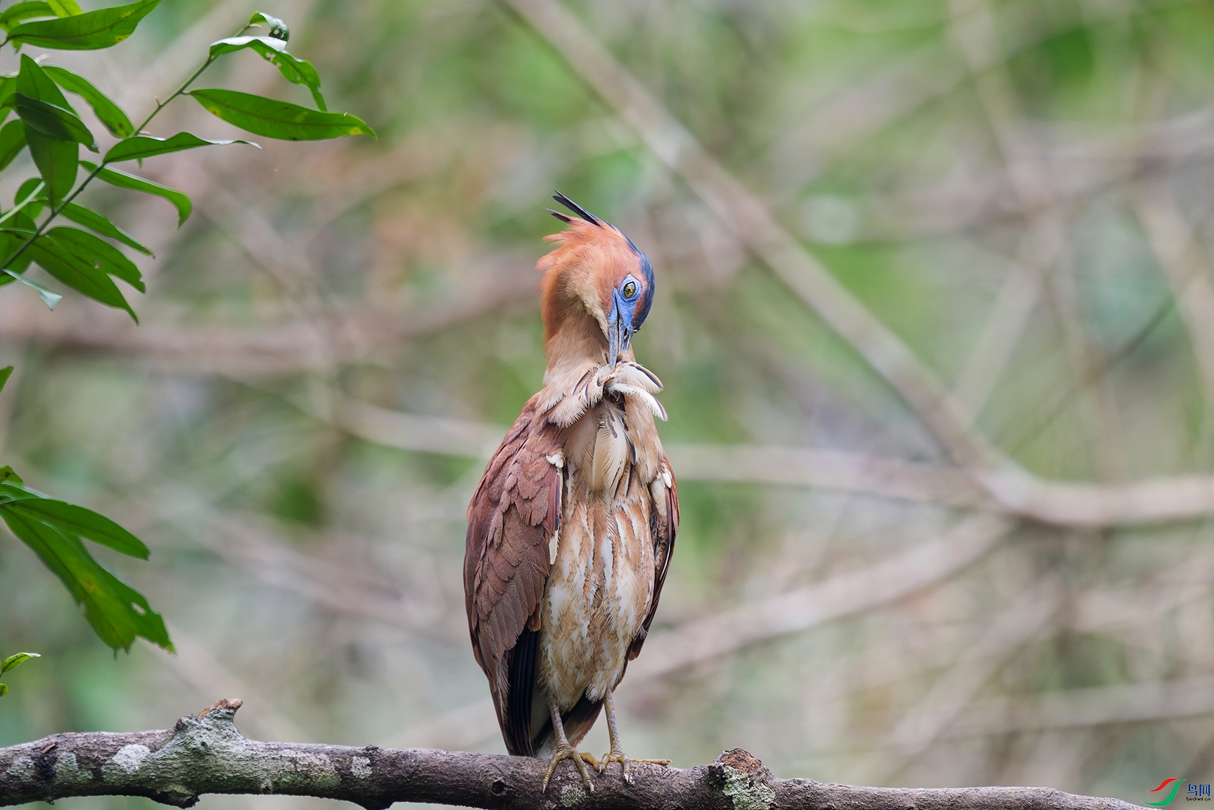 DSC_7441_DxO_DxOa.jpg
