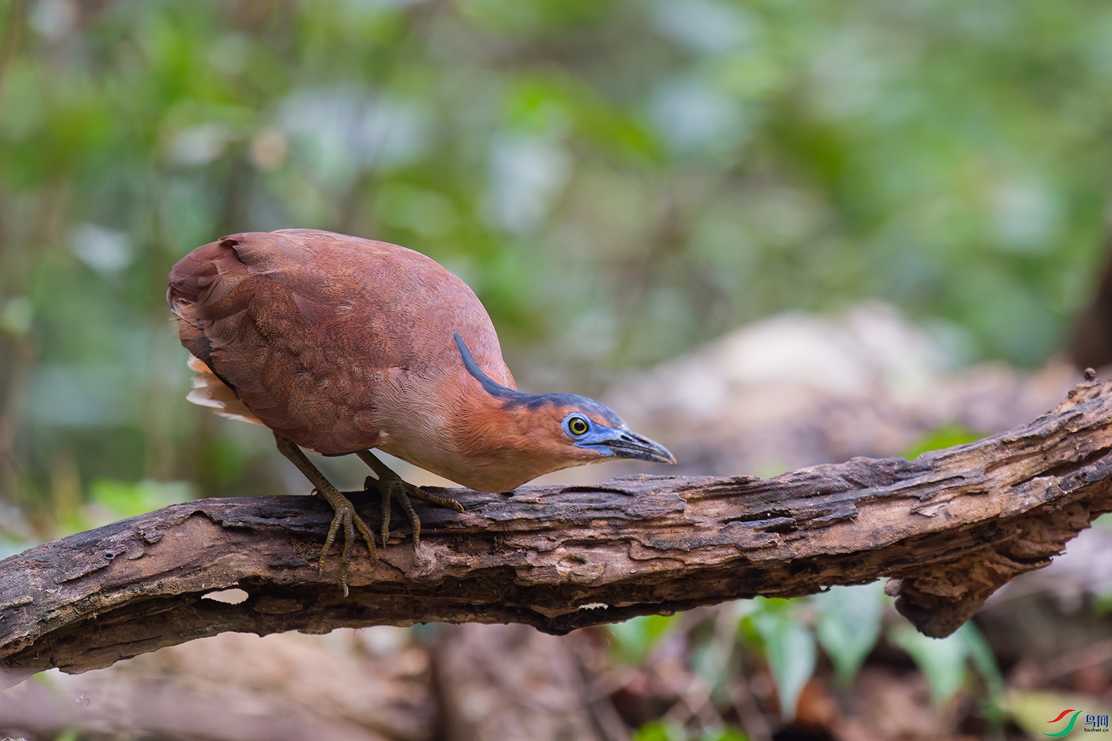 DSC_7286_DxO_DxOa.jpg