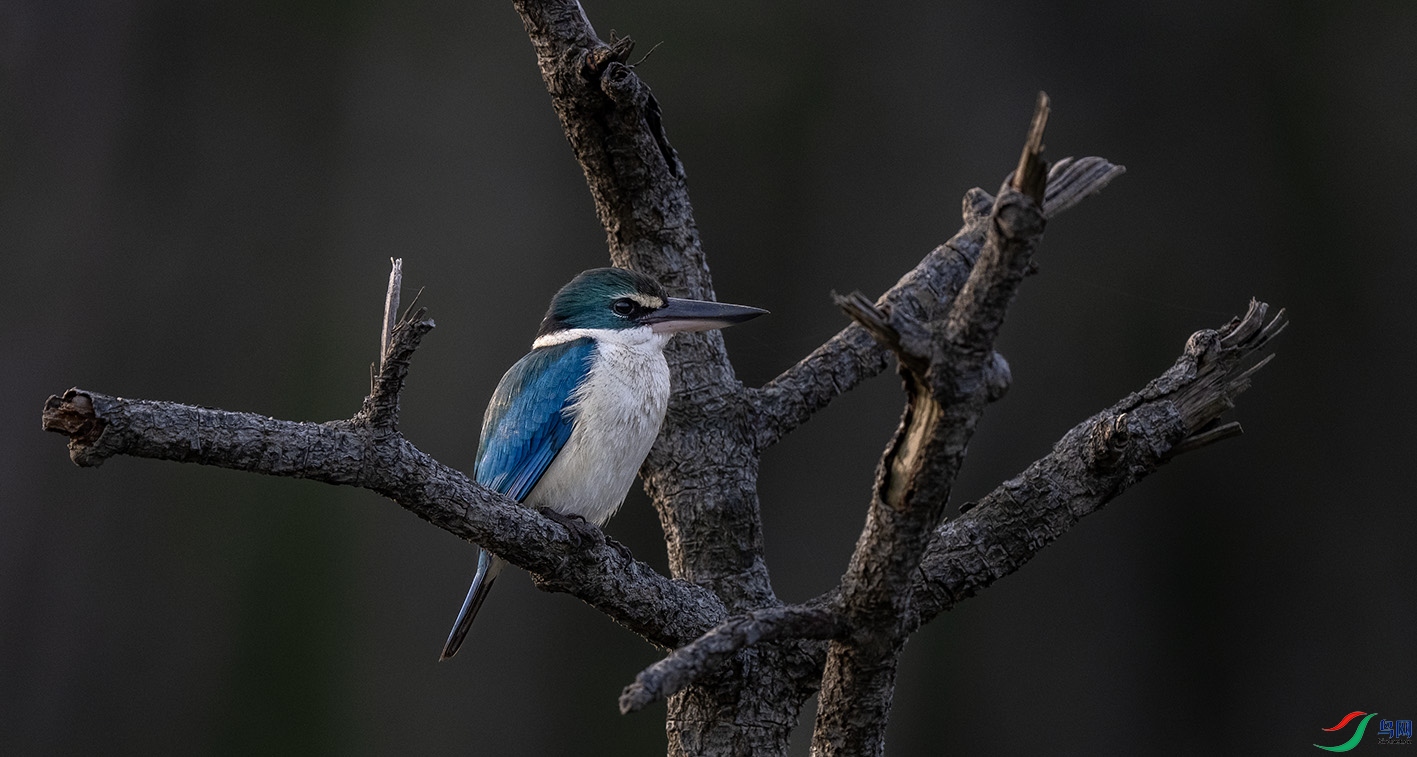 _DSC8482 ����.jpg