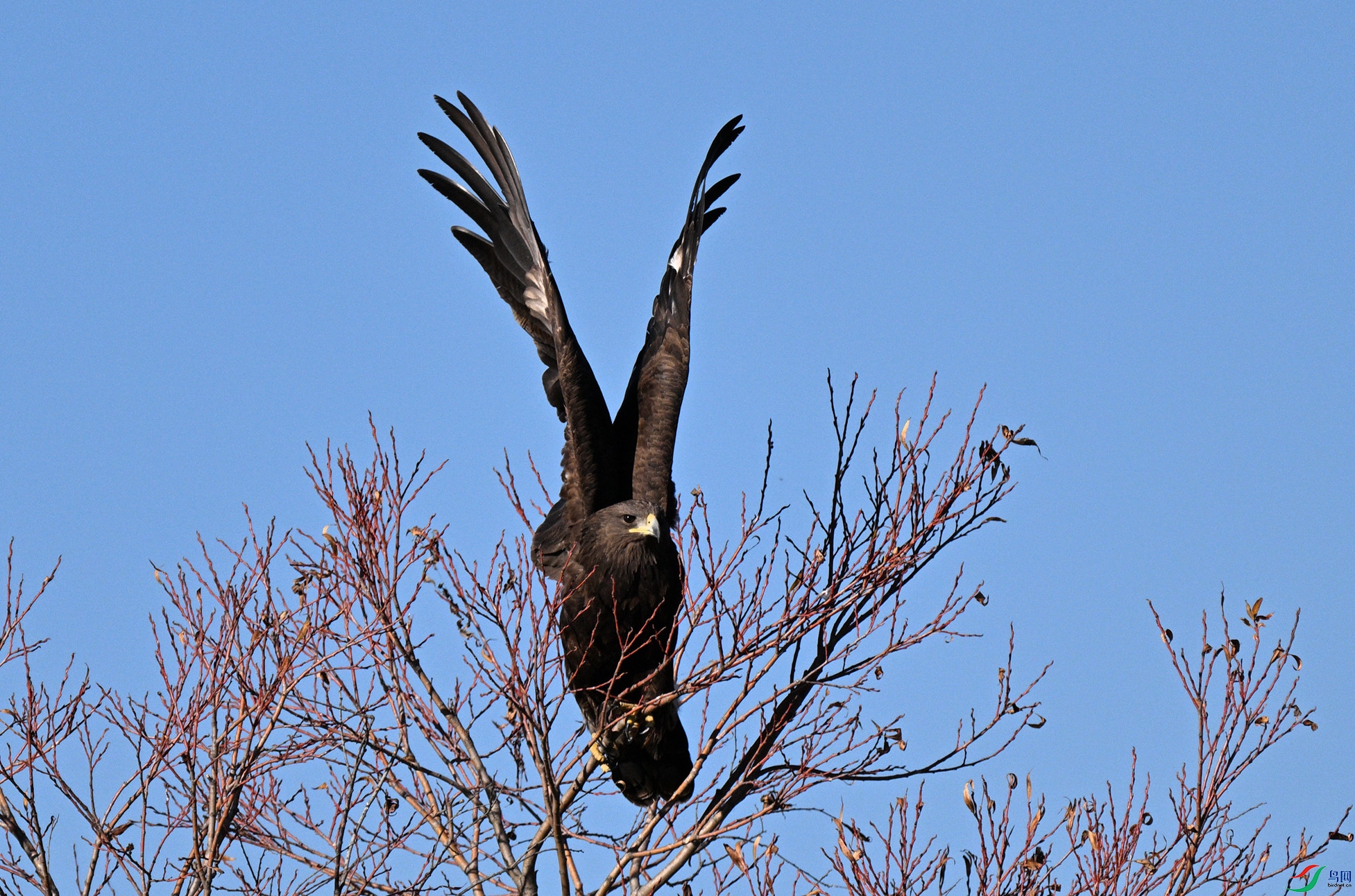 DSC_4570_����.jpg