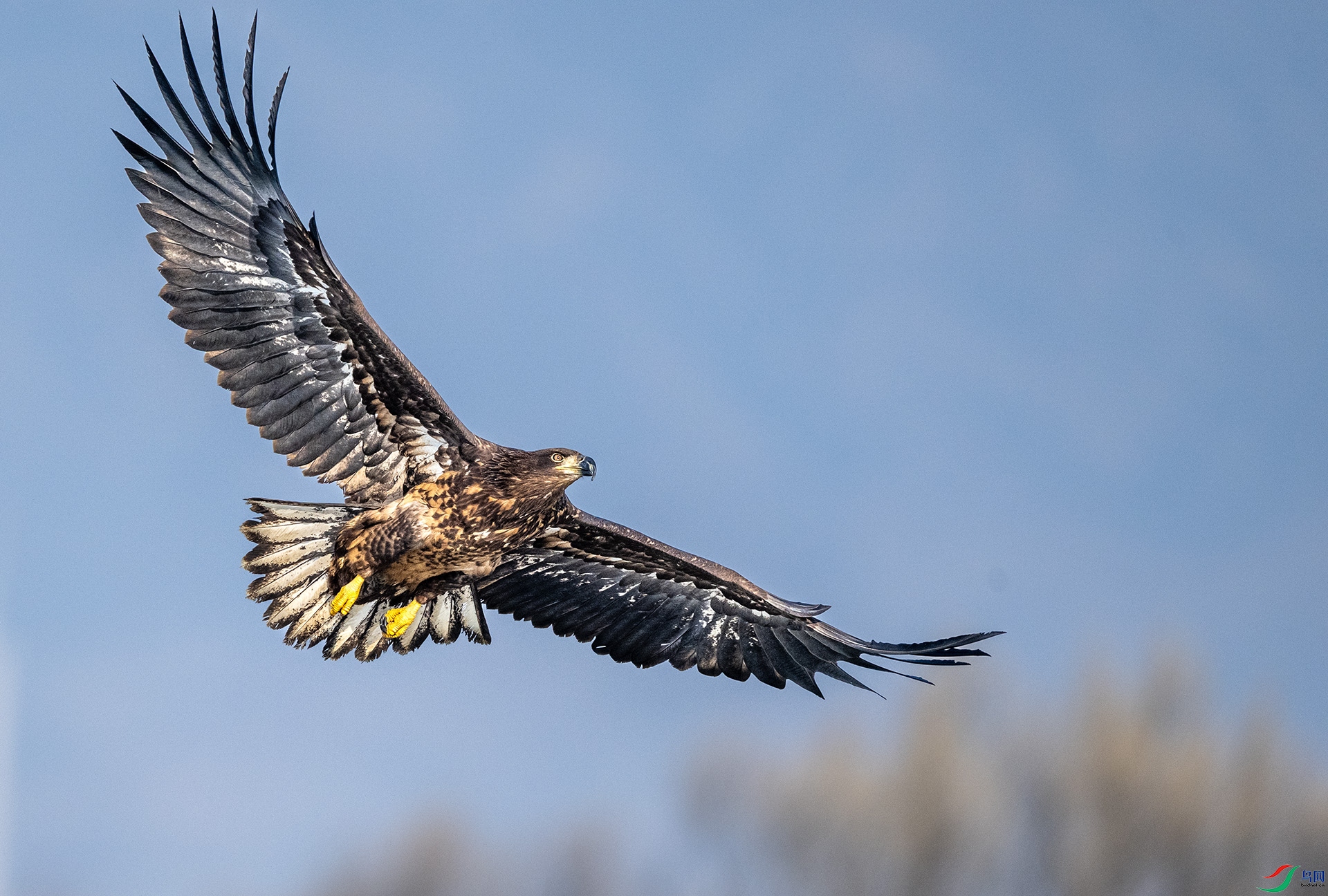 ��β�������