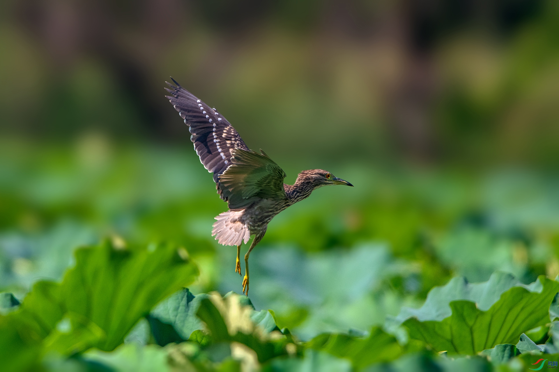 _AUU9719ҹ��(24.8.29).jpg