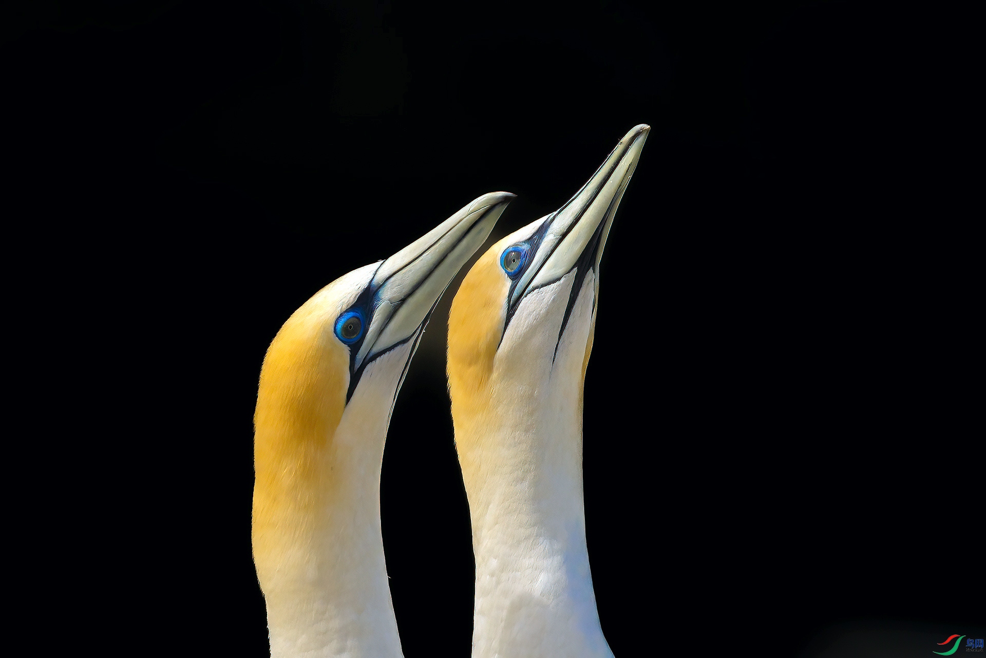 1P8A3868.jpg