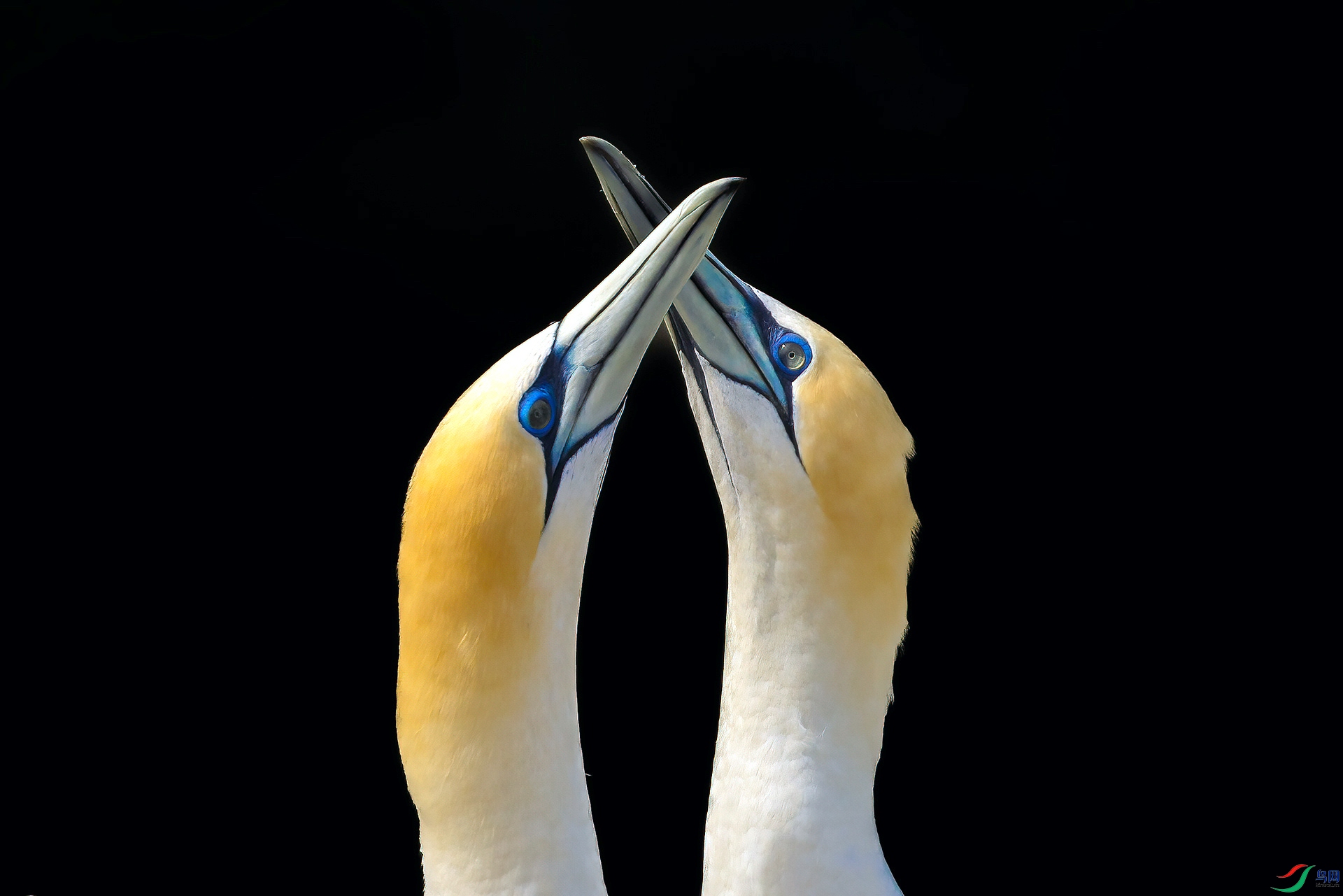 1P8A3870.jpg