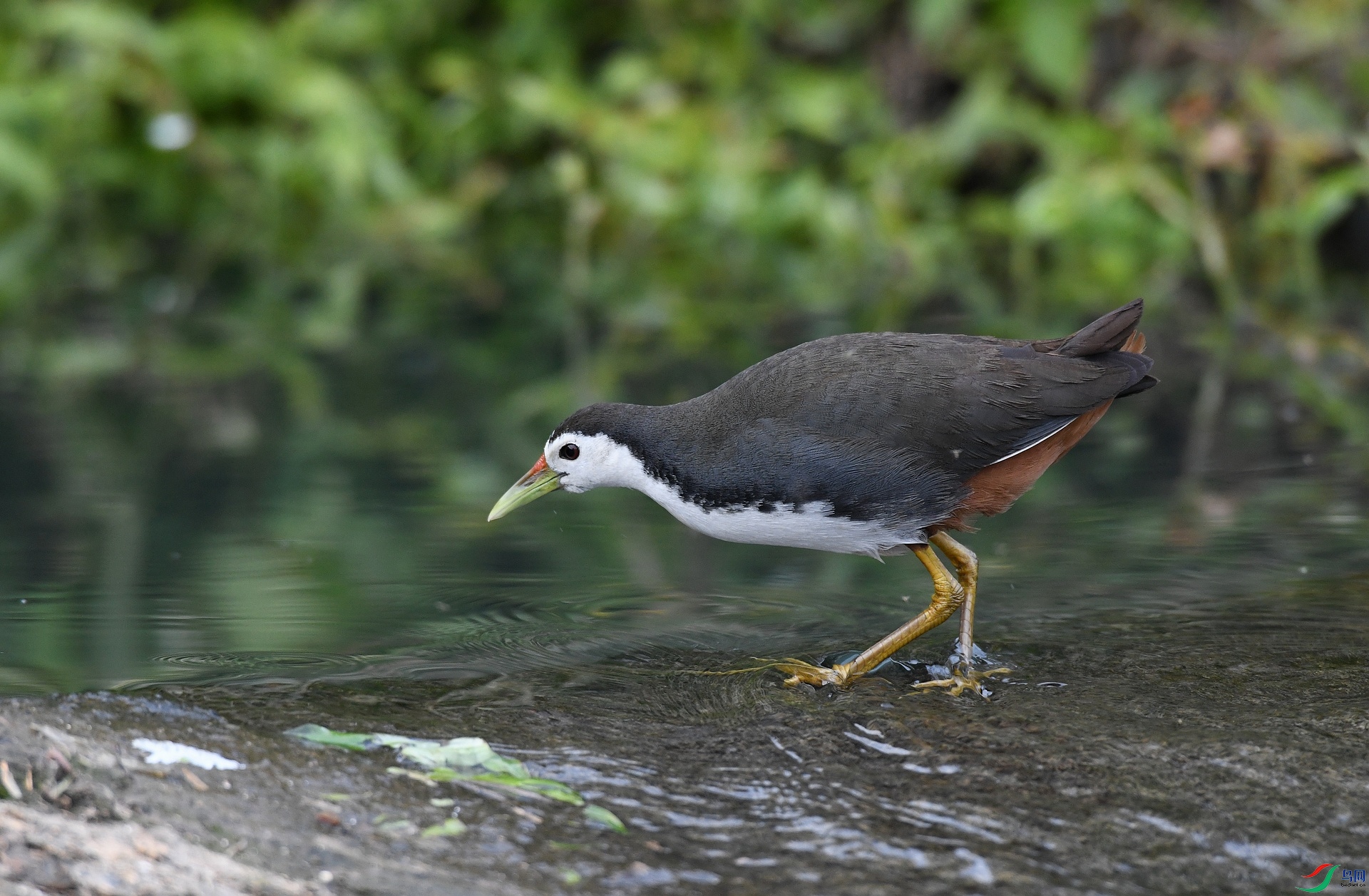 DSC_1774.jpg
